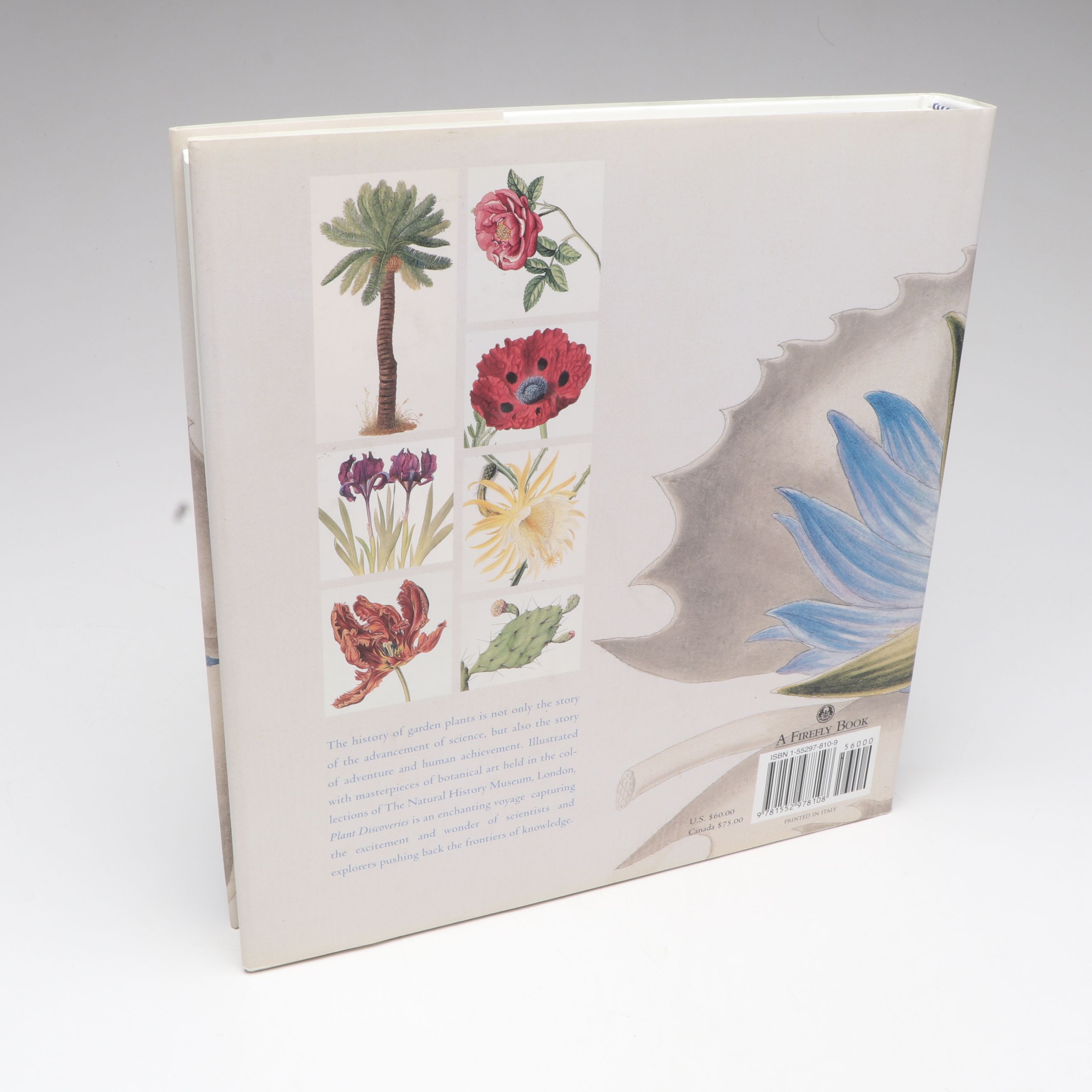 "The Genus Lavandula," "Peonies: The Imperial Flowers," and More Gardening Books