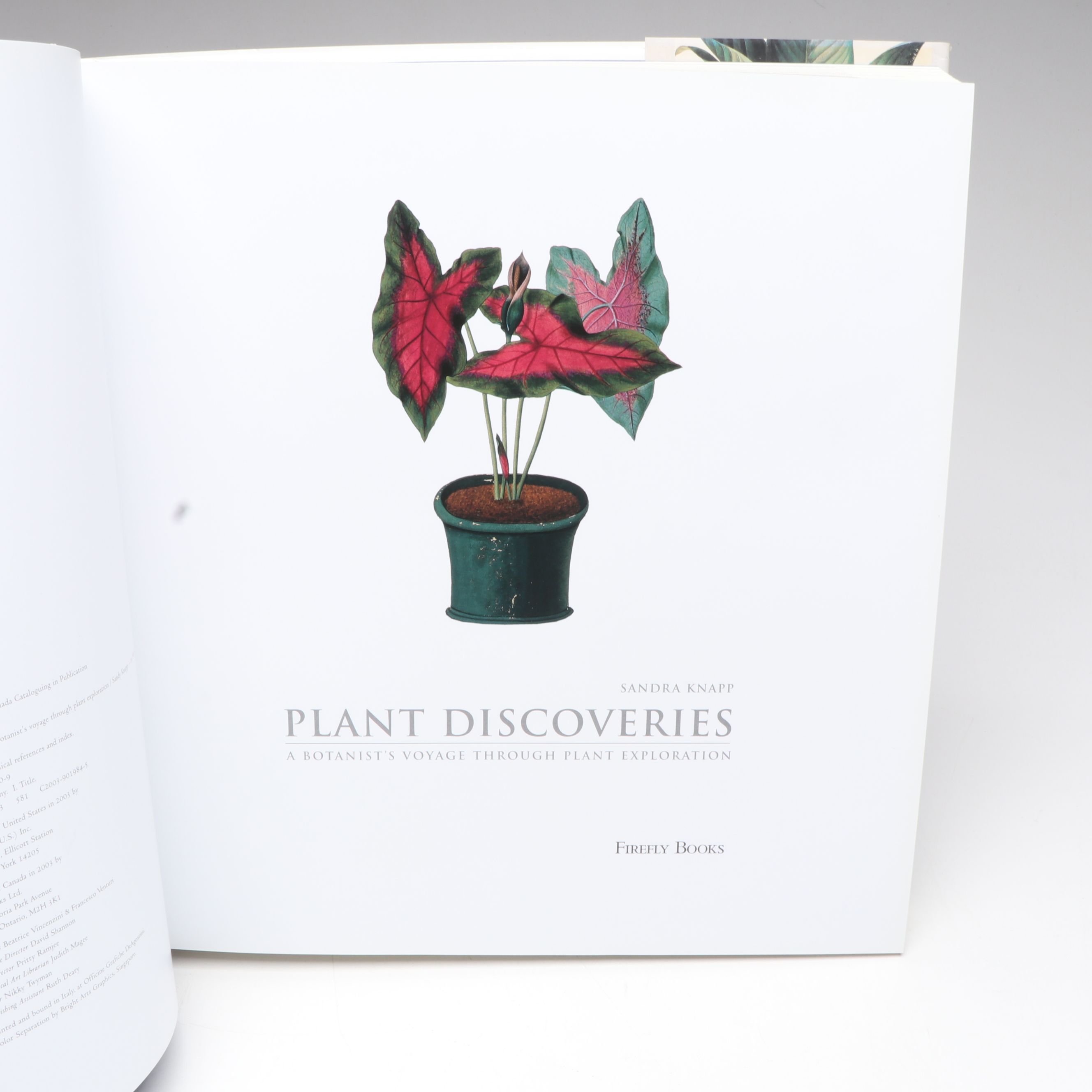 "The Genus Lavandula," "Peonies: The Imperial Flowers," and More Gardening Books