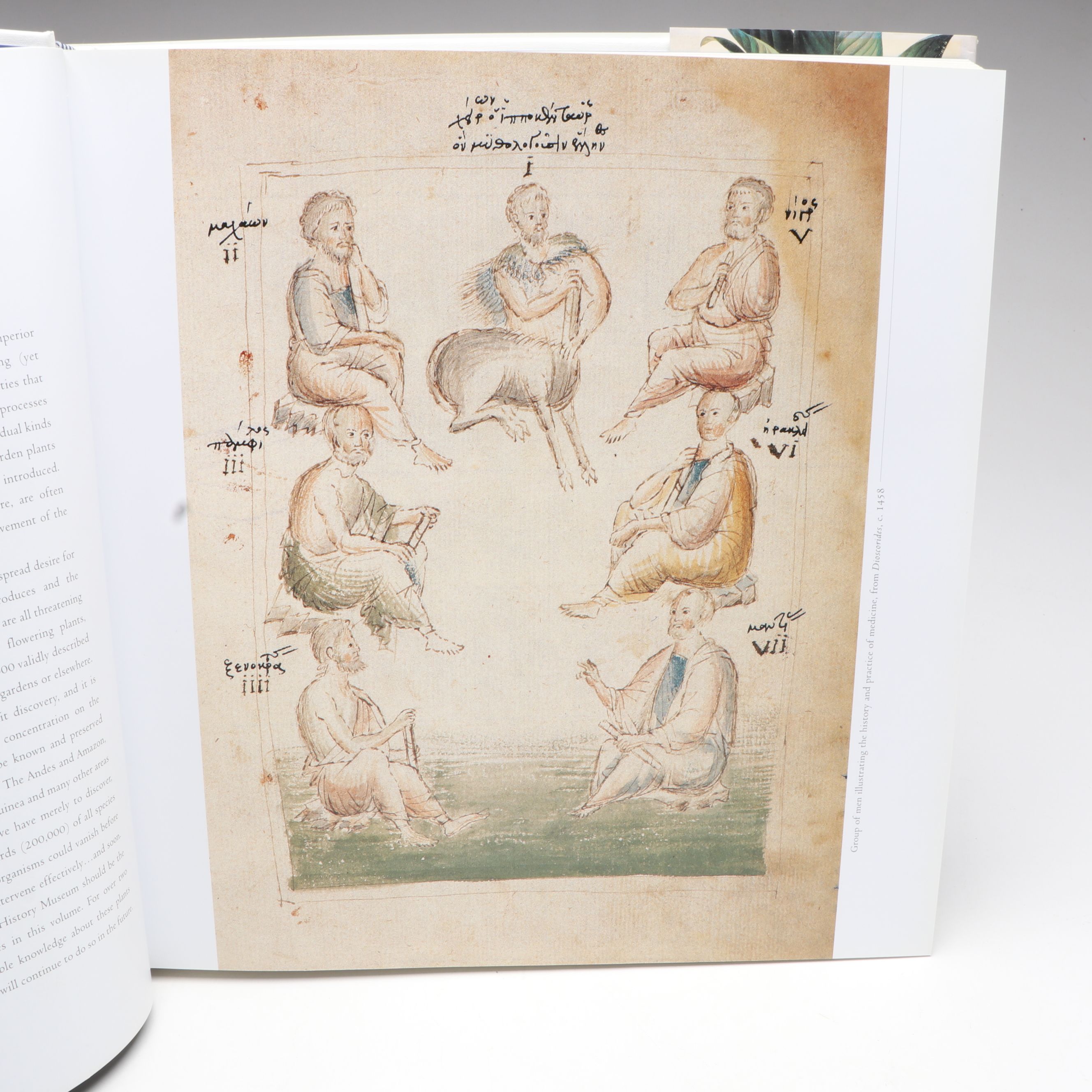 "The Genus Lavandula," "Peonies: The Imperial Flowers," and More Gardening Books