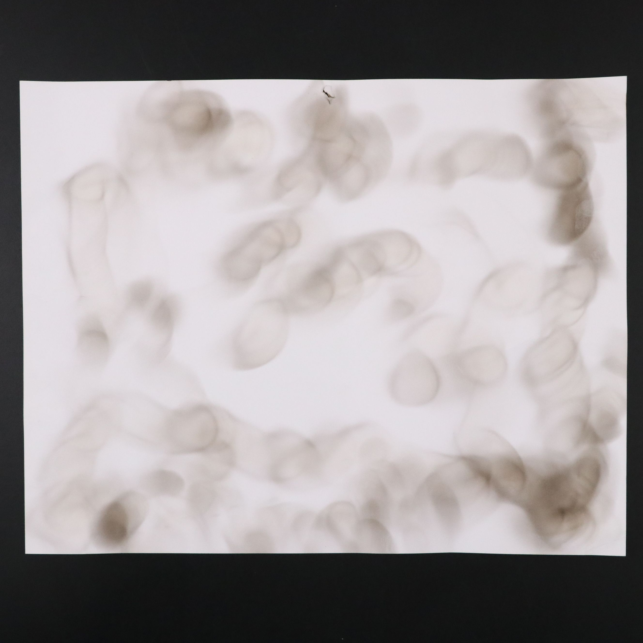 Prohibition Style Whisky Prescription Form with Reproduction Sign