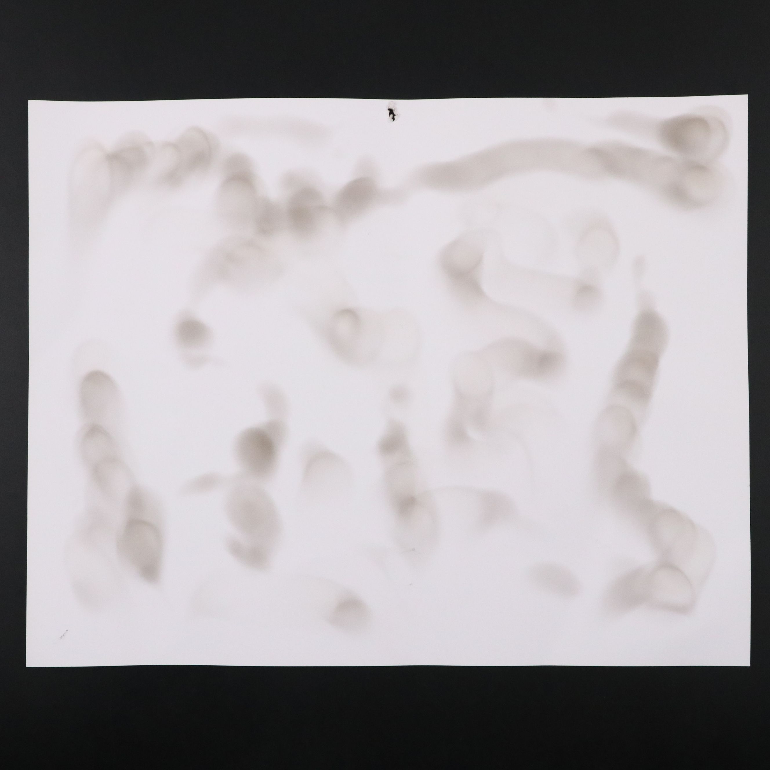 Prohibition Style Whisky Prescription Form with Reproduction Sign