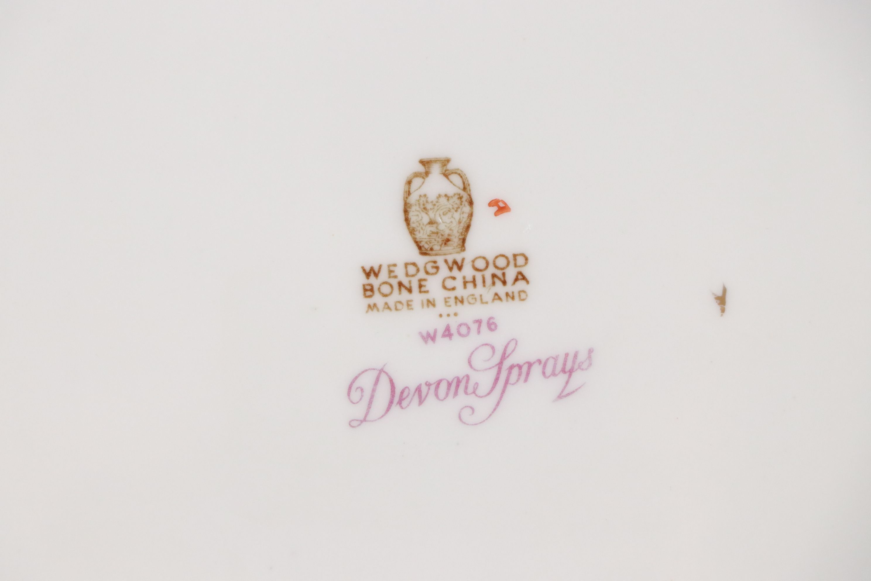 Wedgwood "Devon Sprays" Porcelain Platters, Plates & More