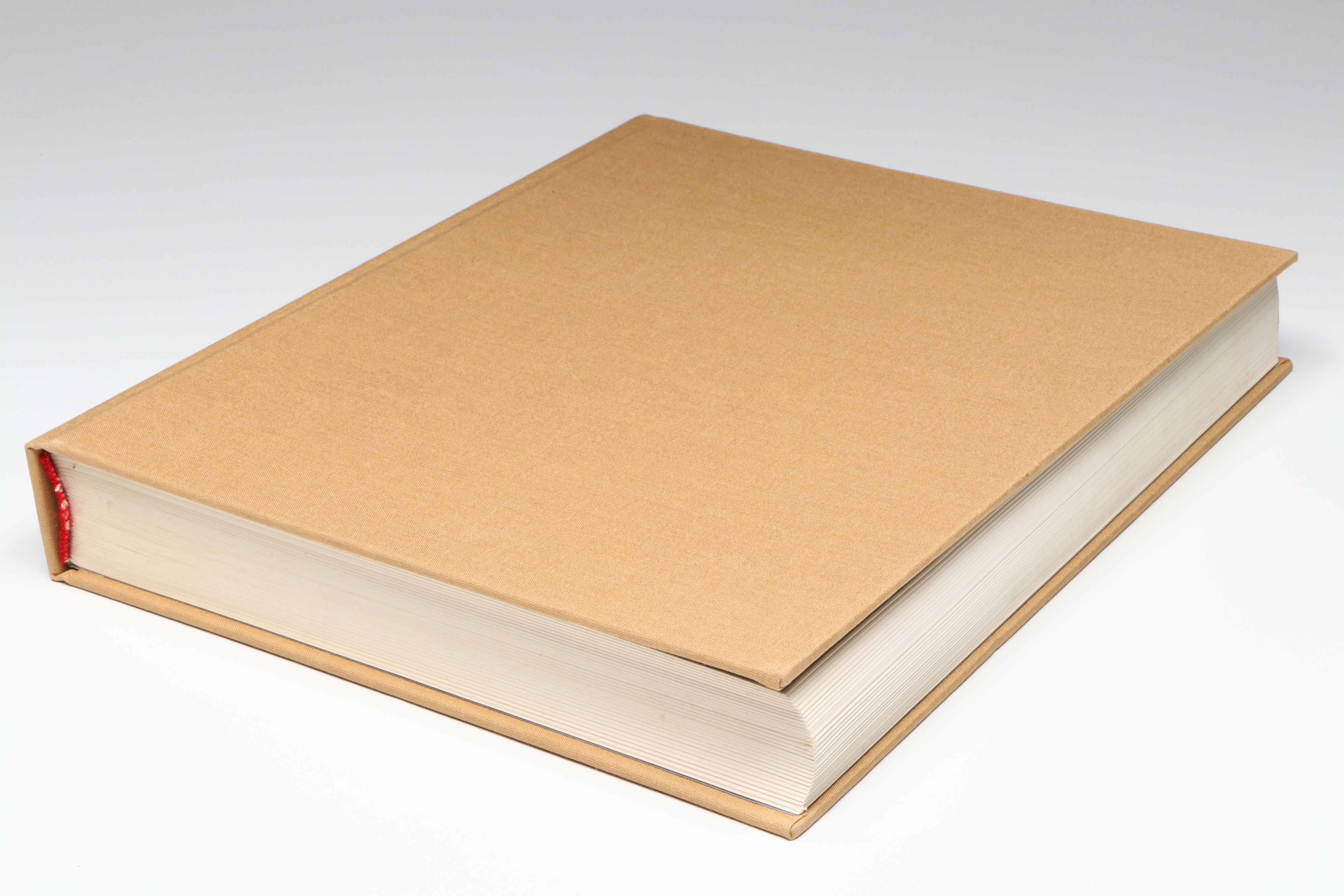 "Joan Miró" by Carolyn Lanchner, 1993