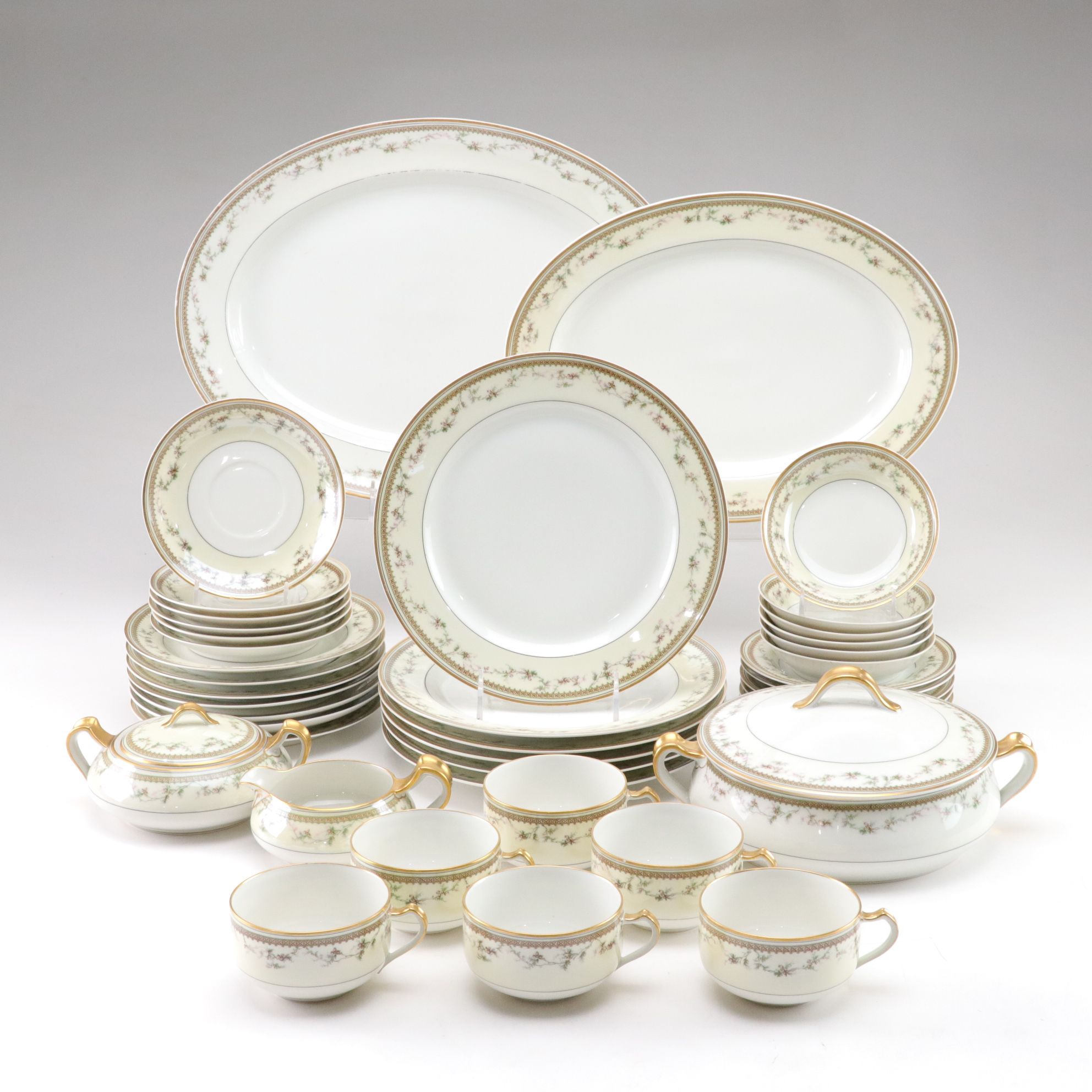 Haviland "Yale" Six Piece Set for Six Diners & More