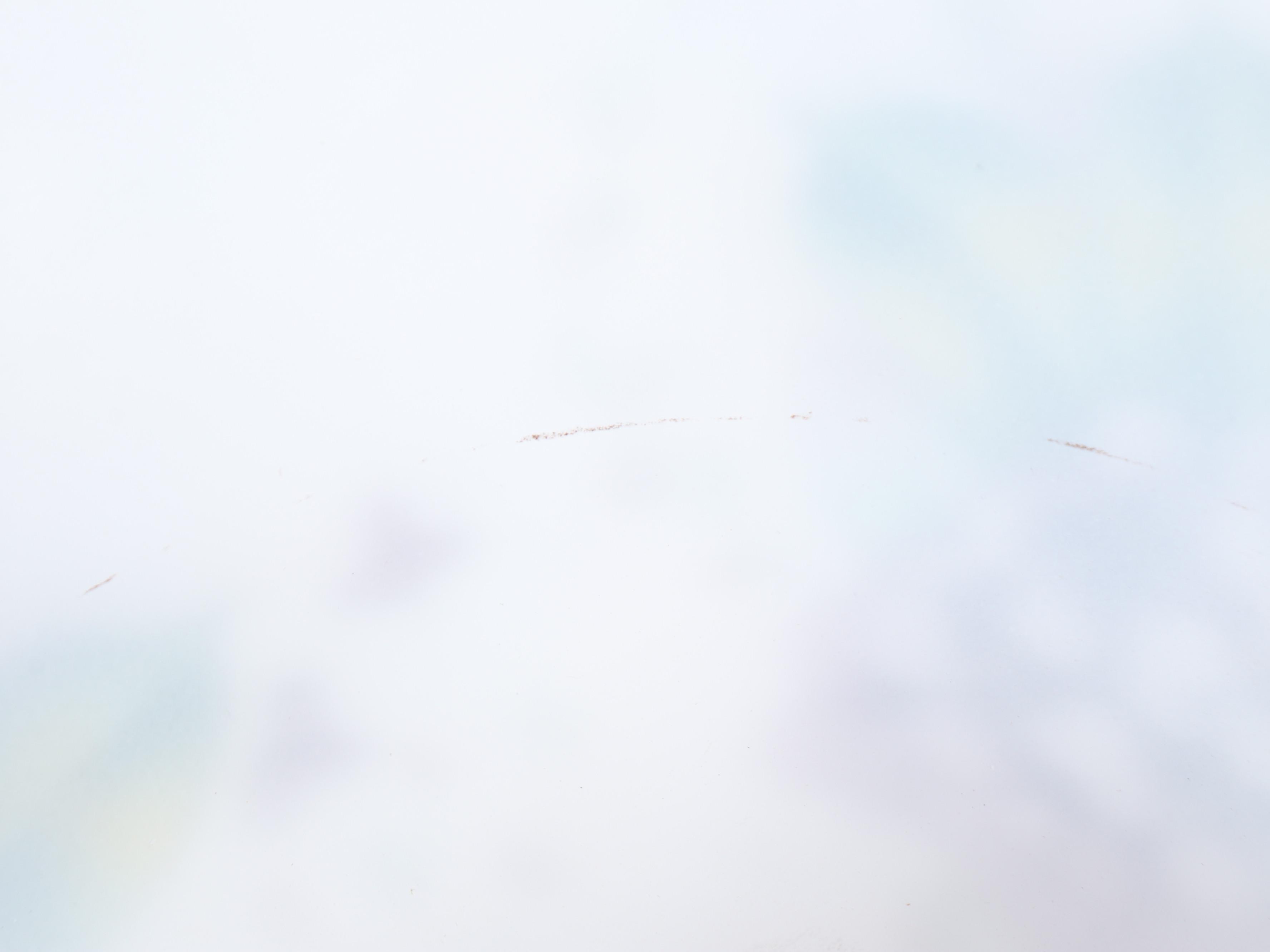 Green and Black Finish Resin Table Lamp with Hydrangea Glass Shade