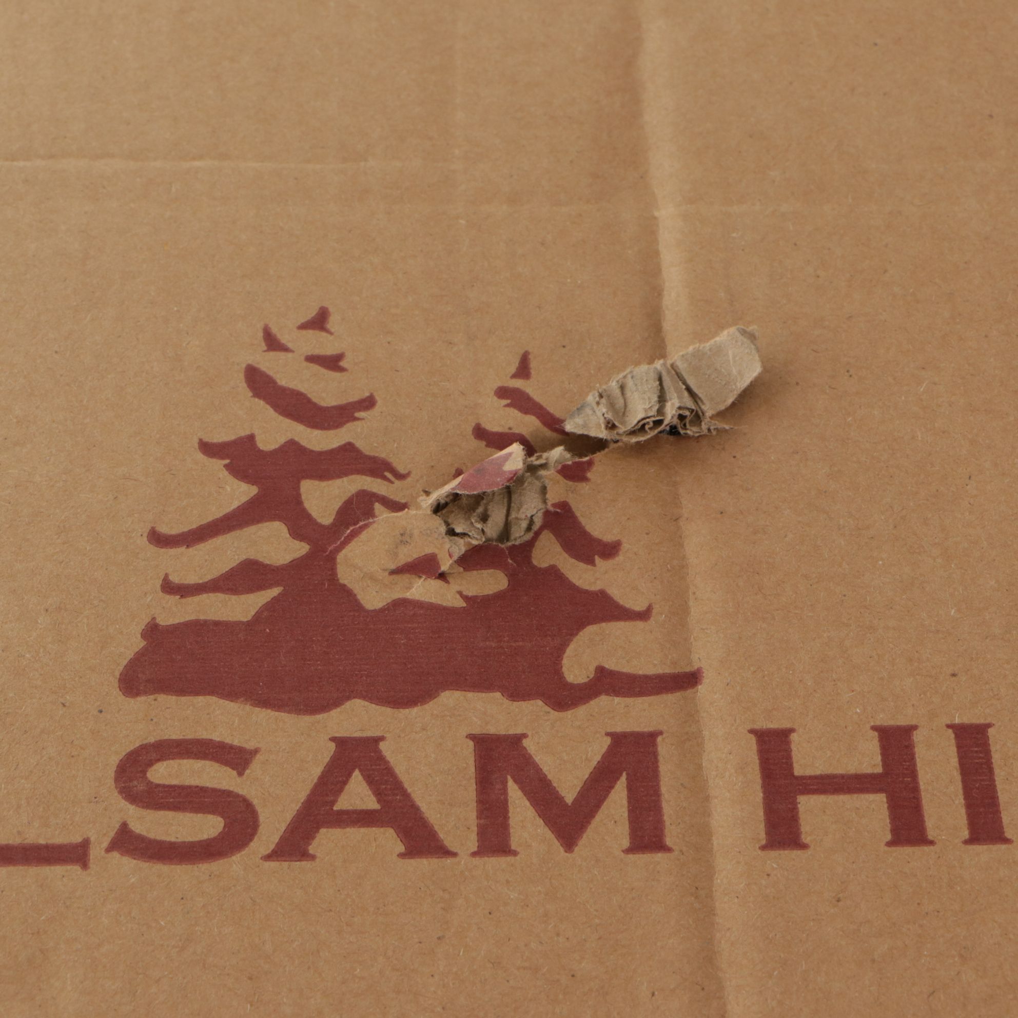 4' Balsam Hills Outdoor Red Berry Evergreen Tree