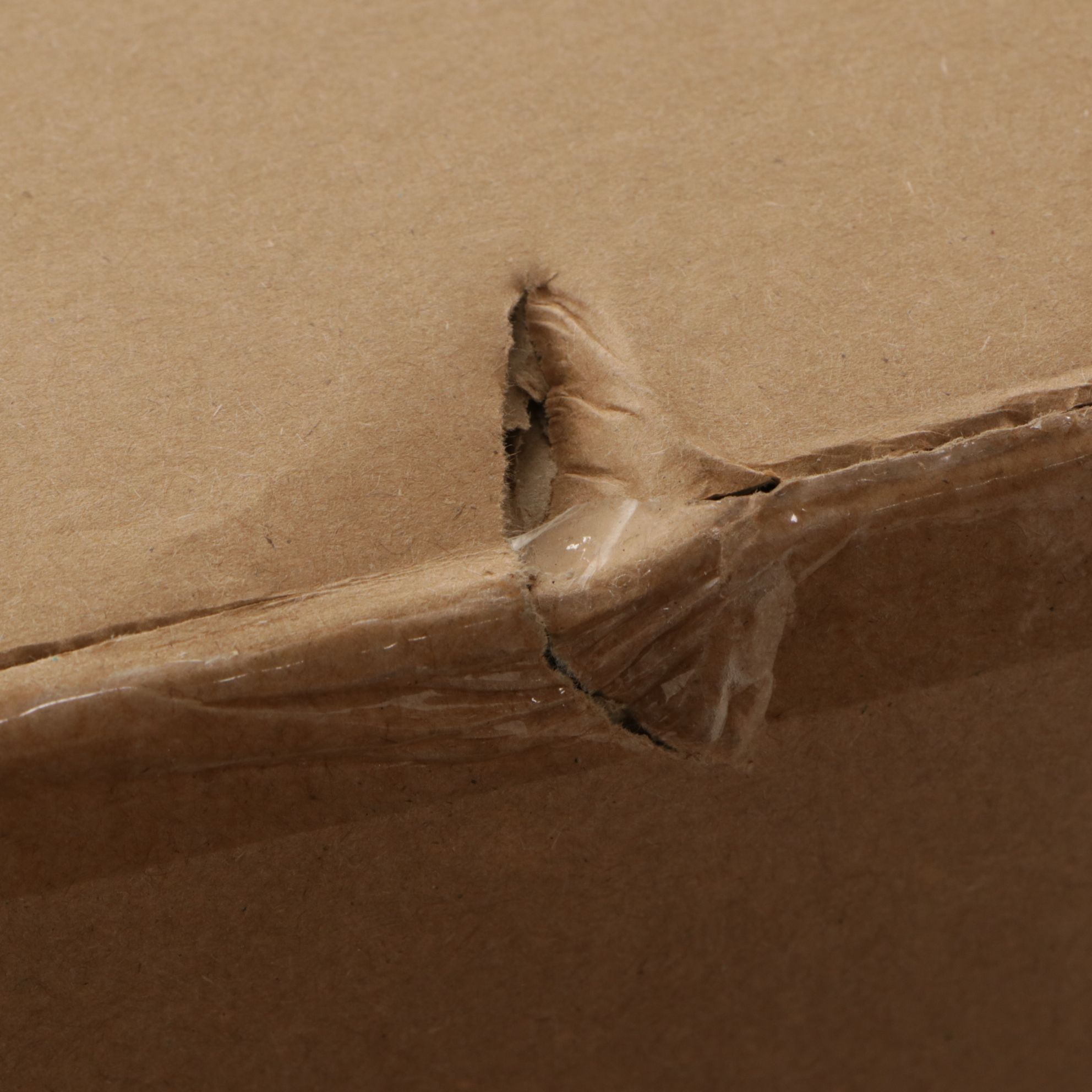 4' Balsam Hills Outdoor Red Berry Evergreen Tree