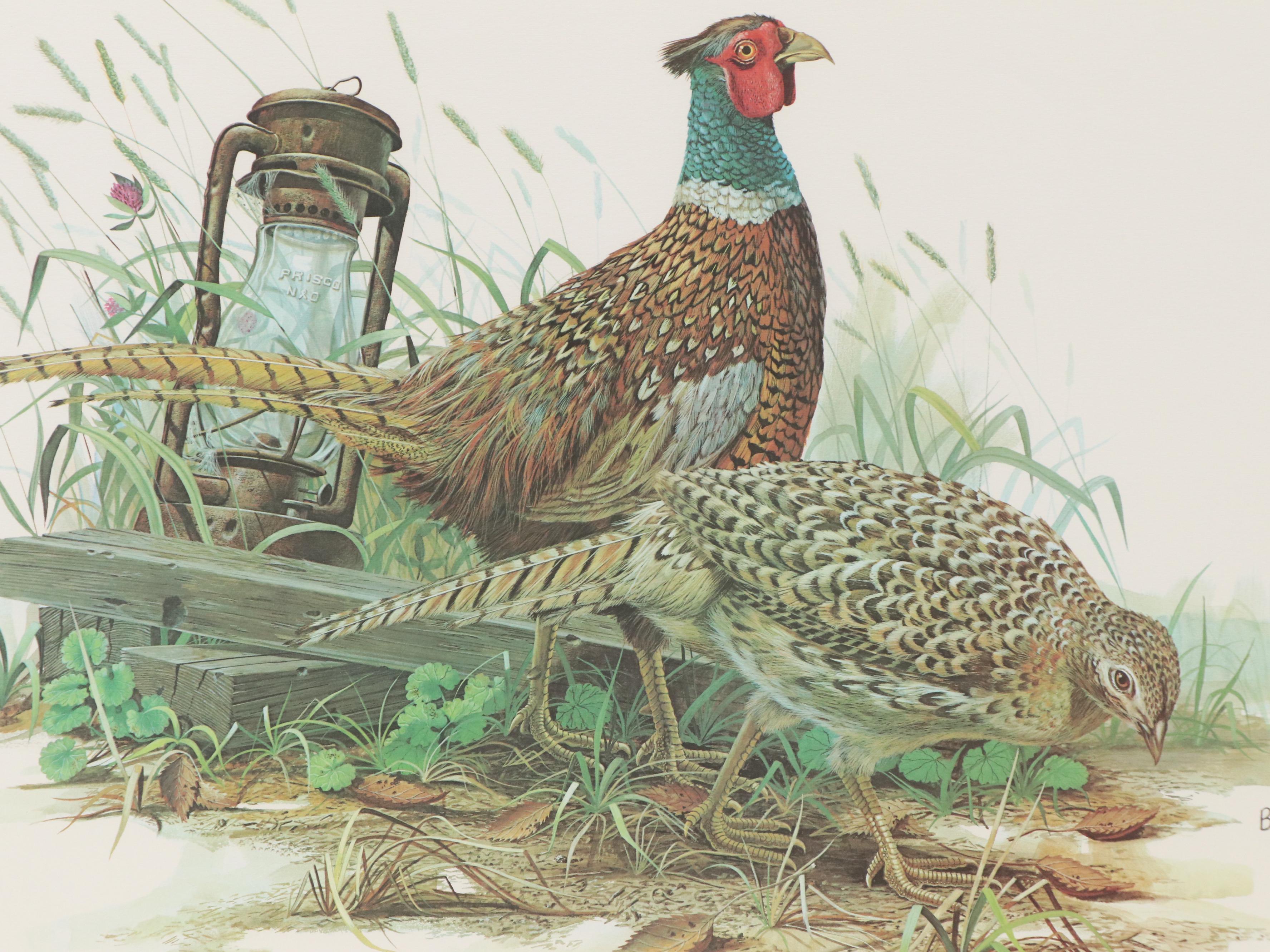 Don Balke Offset Lithograph "Ring-necked Pheasant"