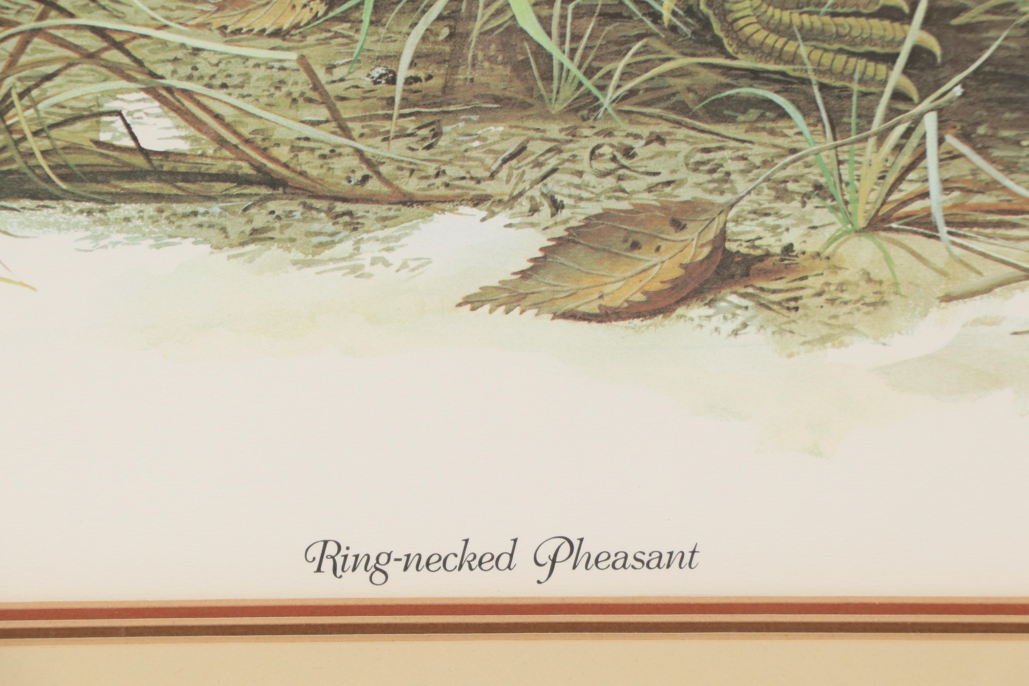 Don Balke Offset Lithograph "Ring-necked Pheasant"