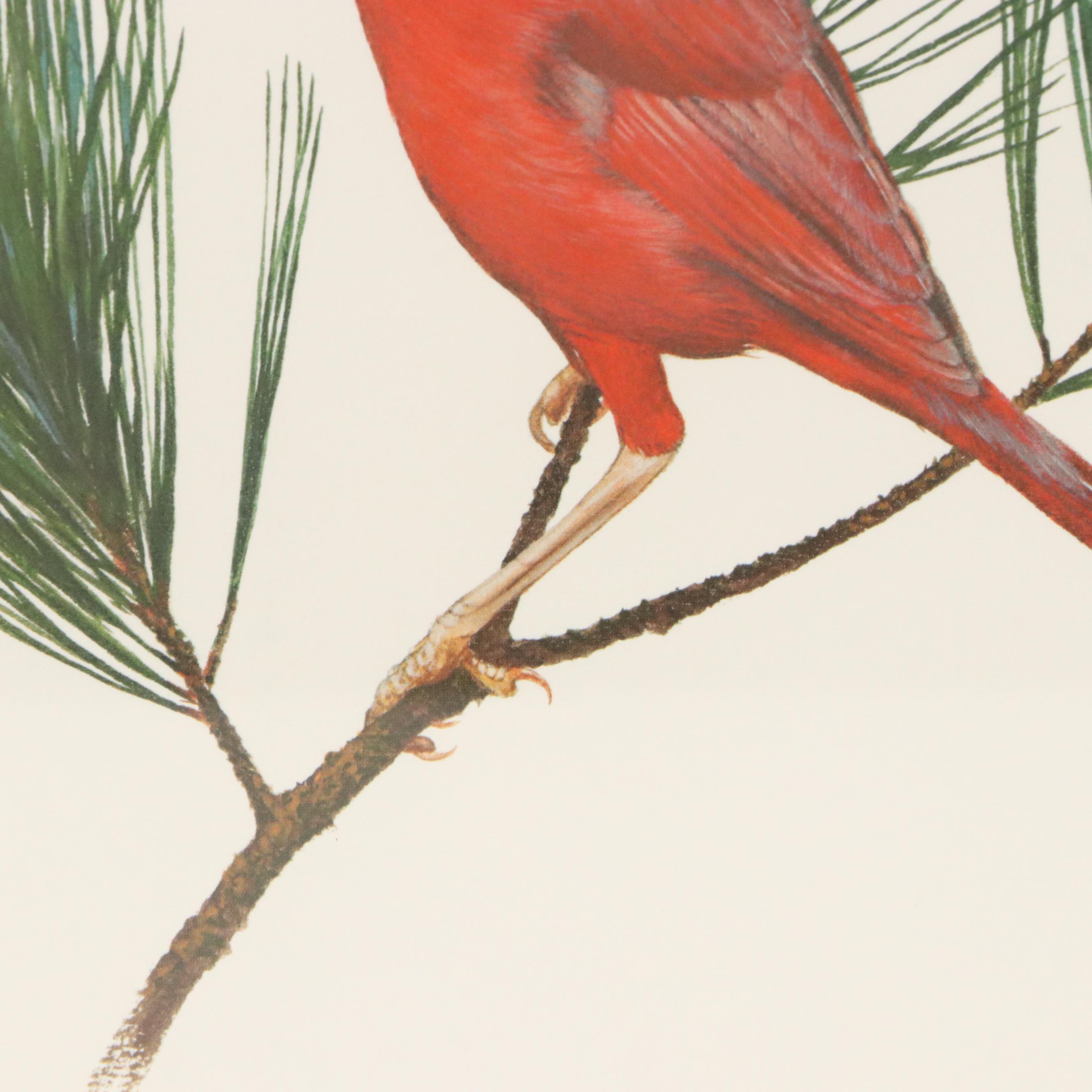 Ray Harm Offset Lithograph "Cardinal"