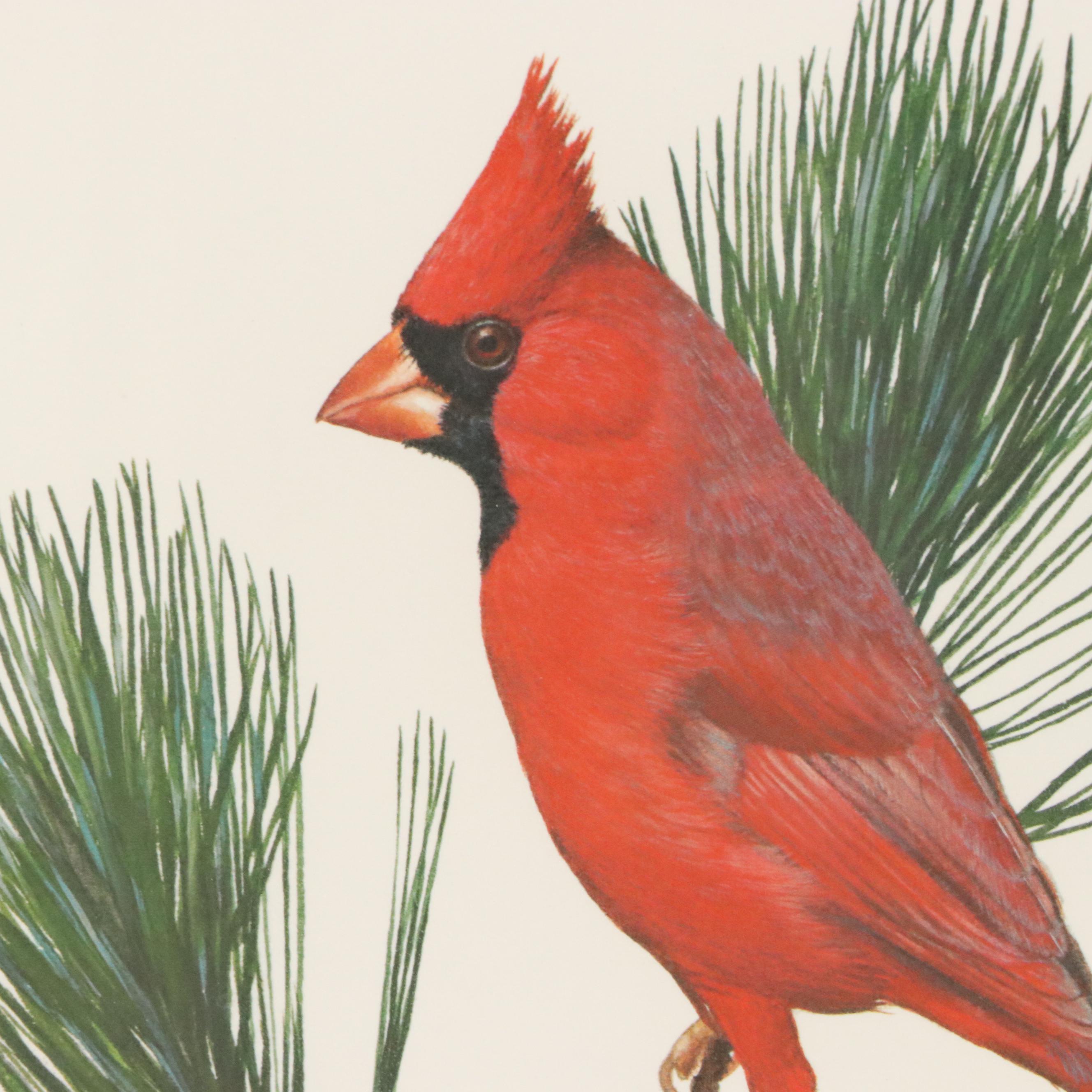 Ray Harm Offset Lithograph "Cardinal"