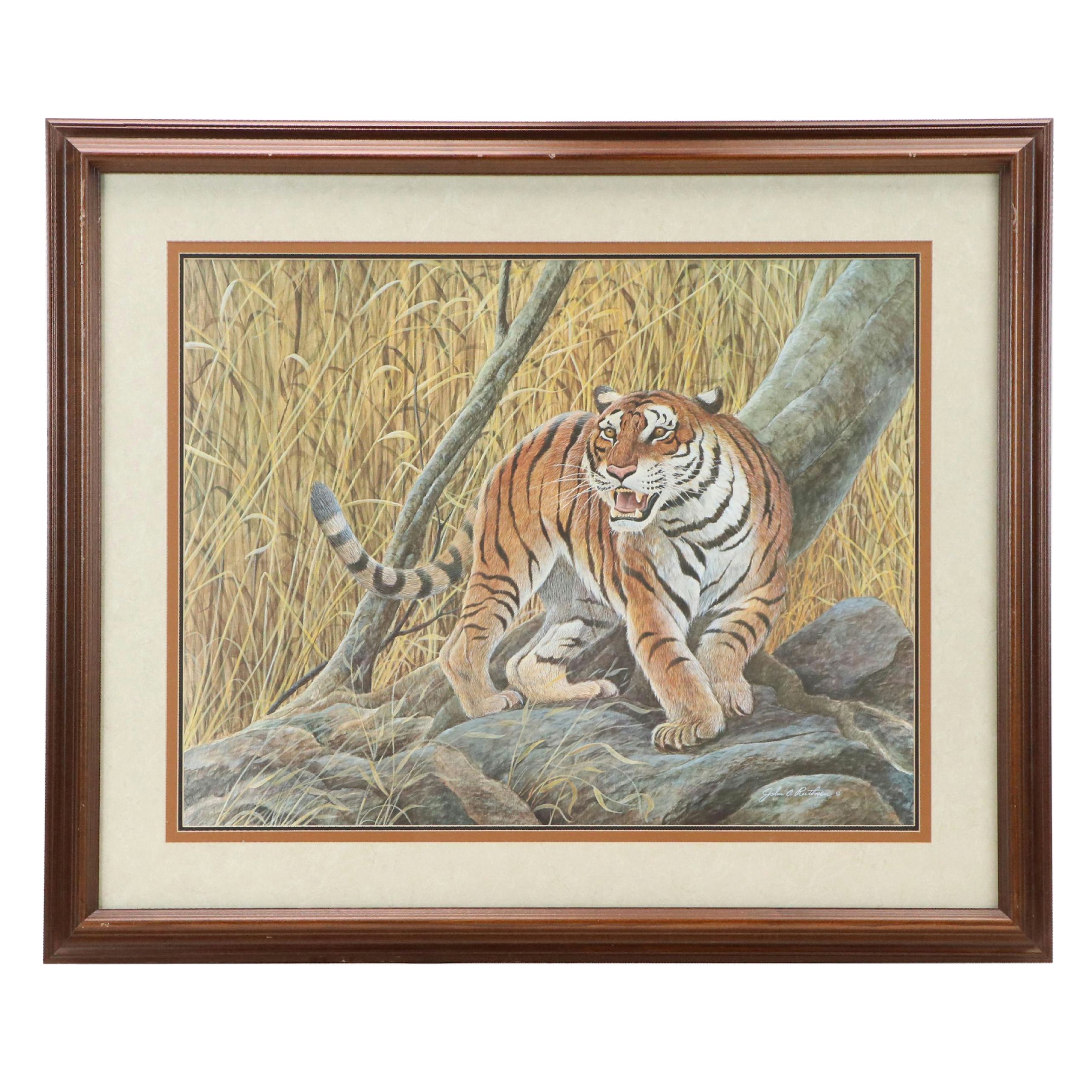 John A. Ruthven Offset Lithograph "Bengal Tiger"