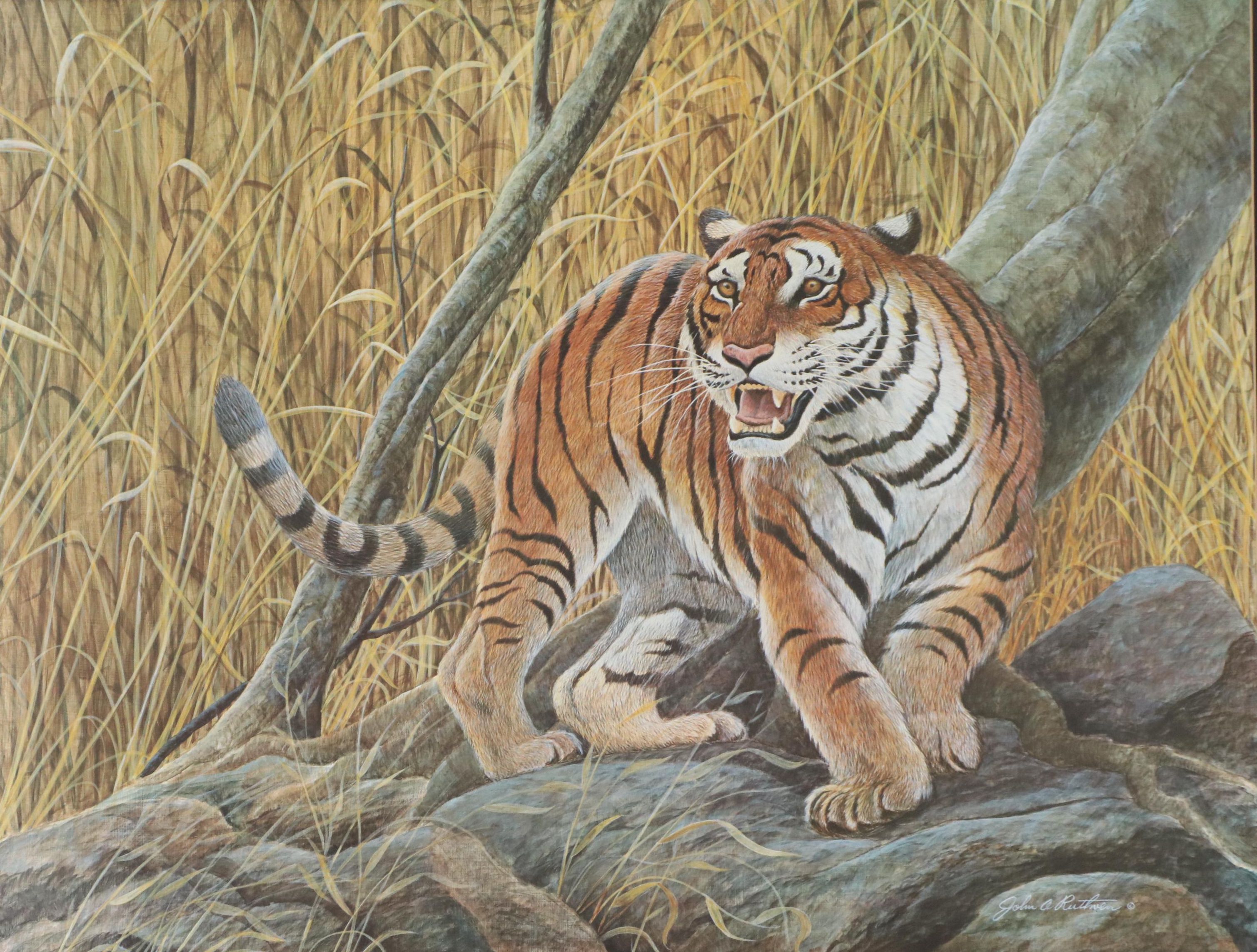 John A. Ruthven Offset Lithograph "Bengal Tiger"