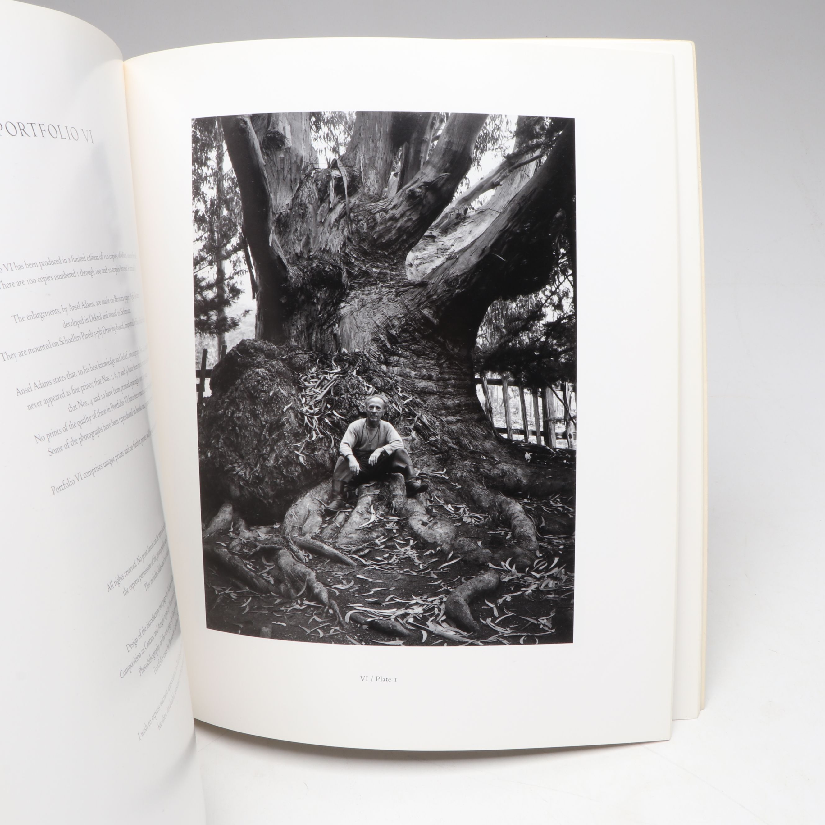 "Russell Chatham: One Hundred Paintings" and More Art History Books