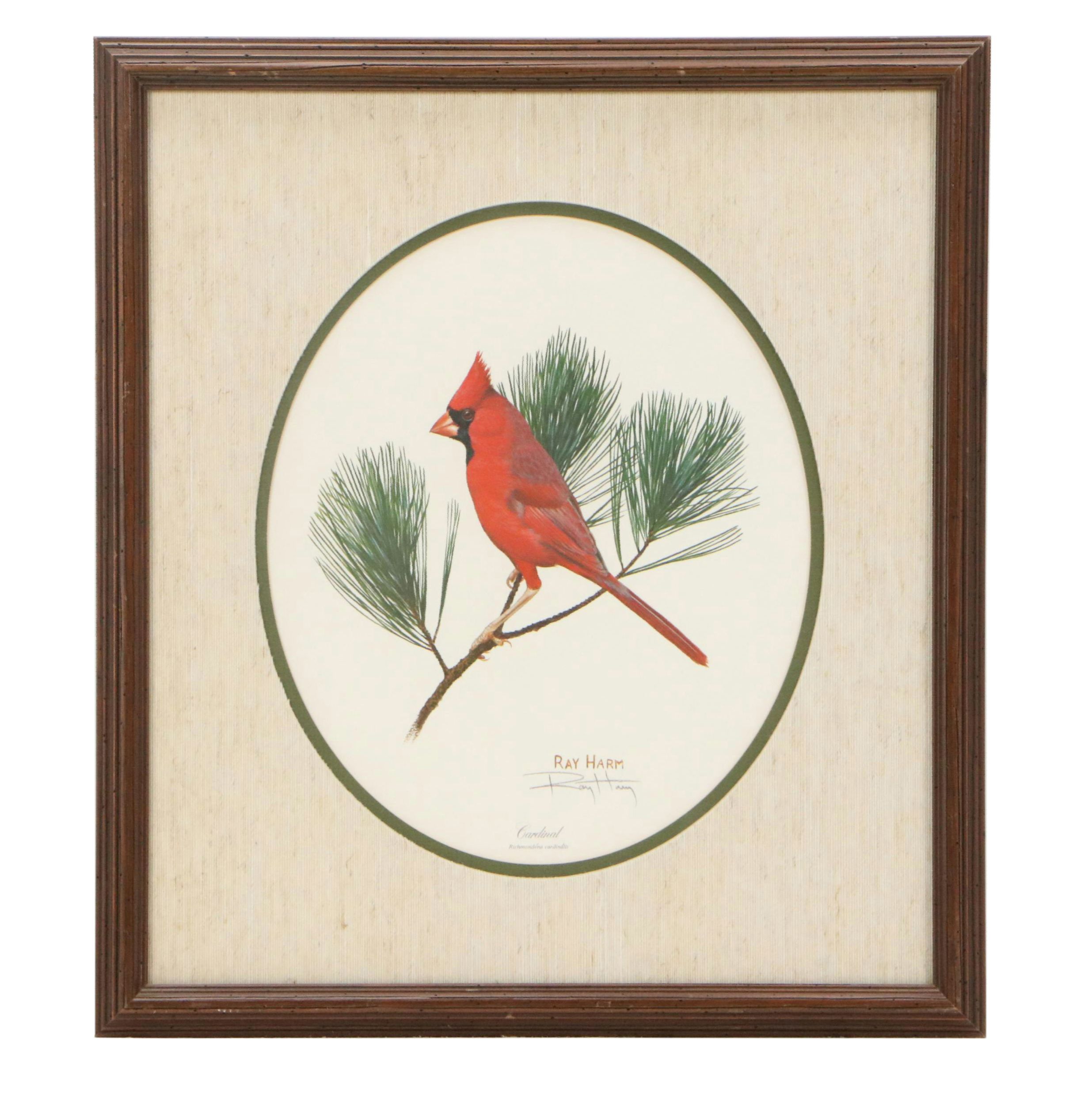 Ray Harm Offset Lithograph "Cardinal"