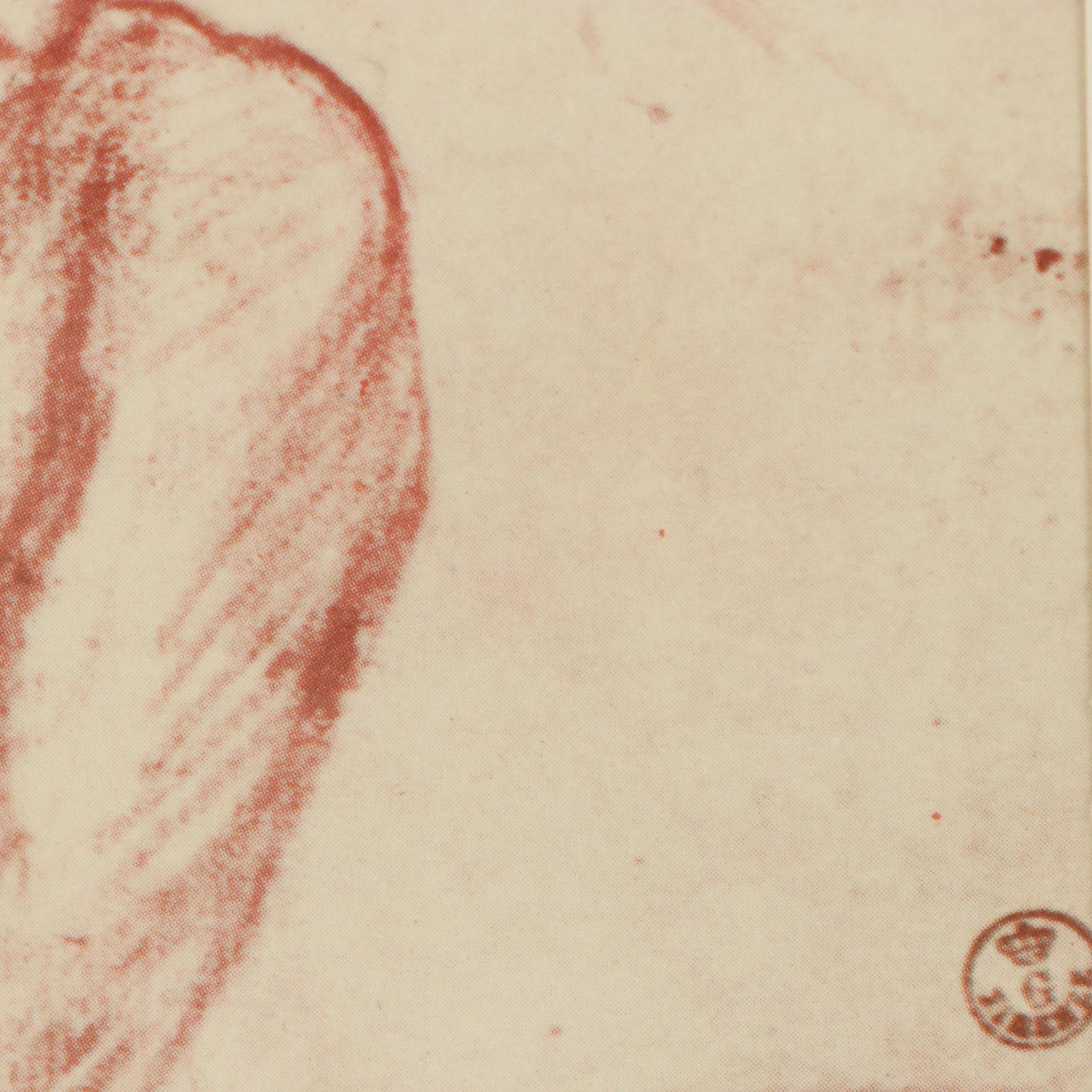 Offset Lithograph After Andrea del Sarto "Four Studies of Apostles"