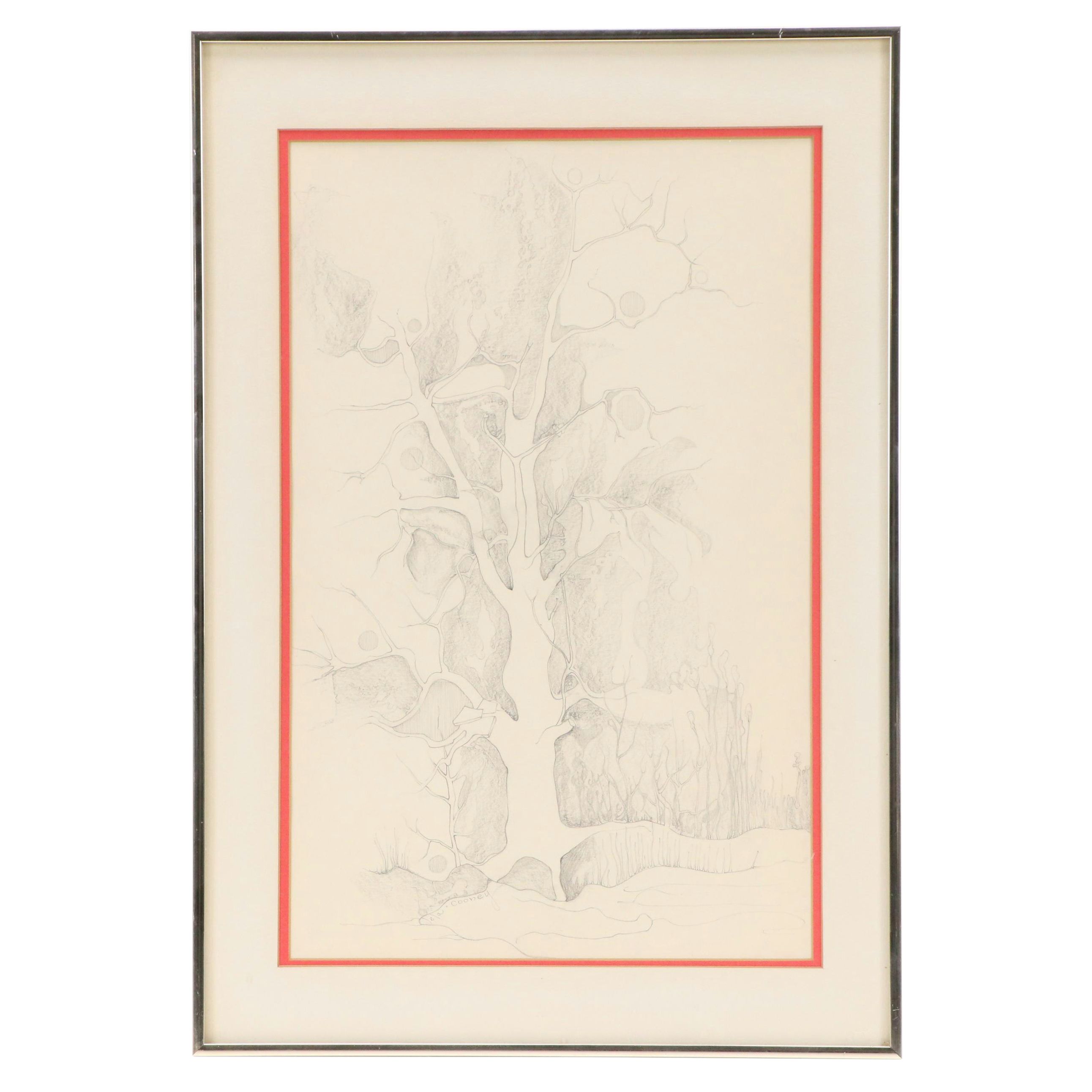 Lela Cooney Graphite Drawing of Gnarled Tree, 20th century