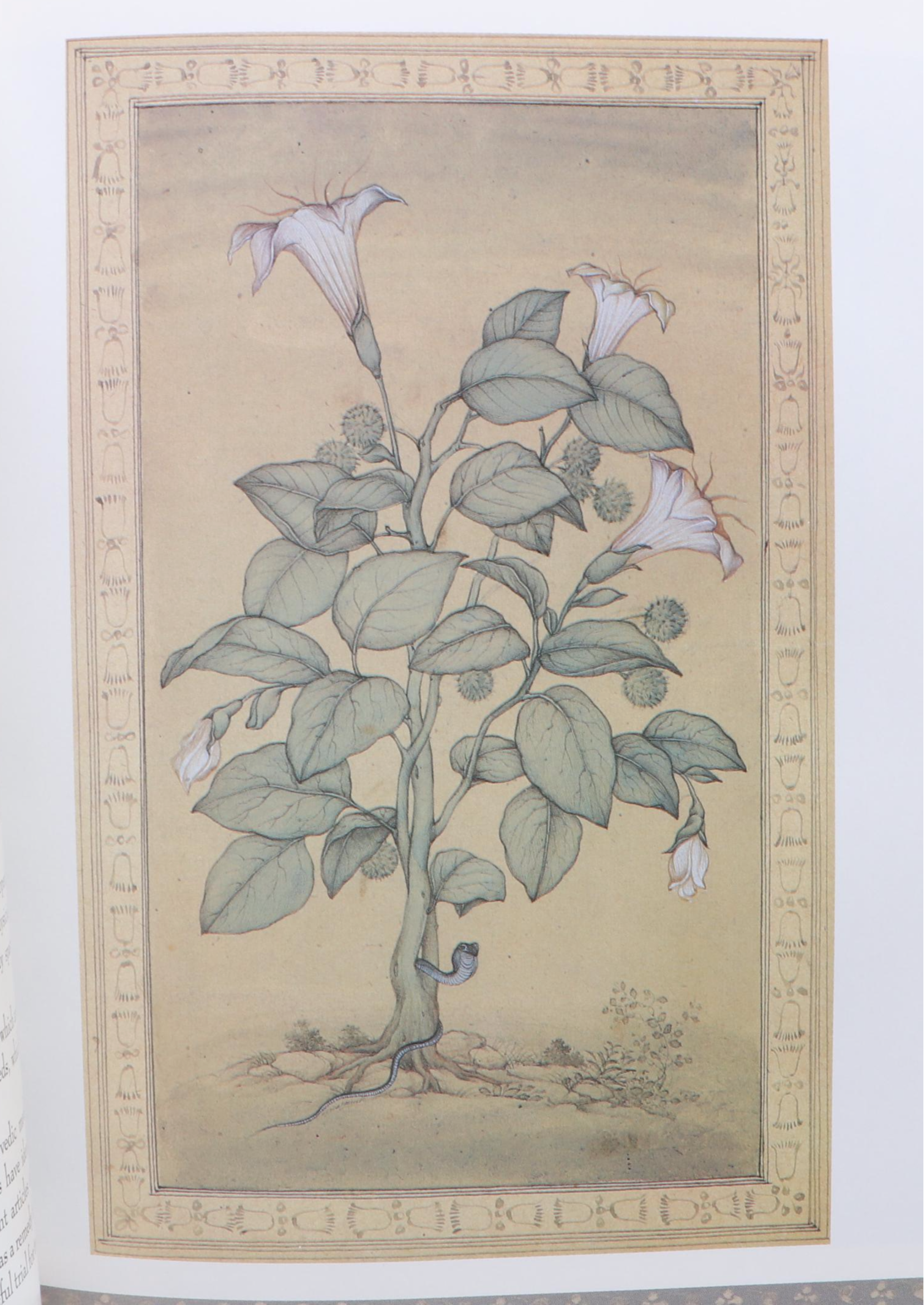 "The Garden of Life," "A Passion For Flowers," and More Gardening Books