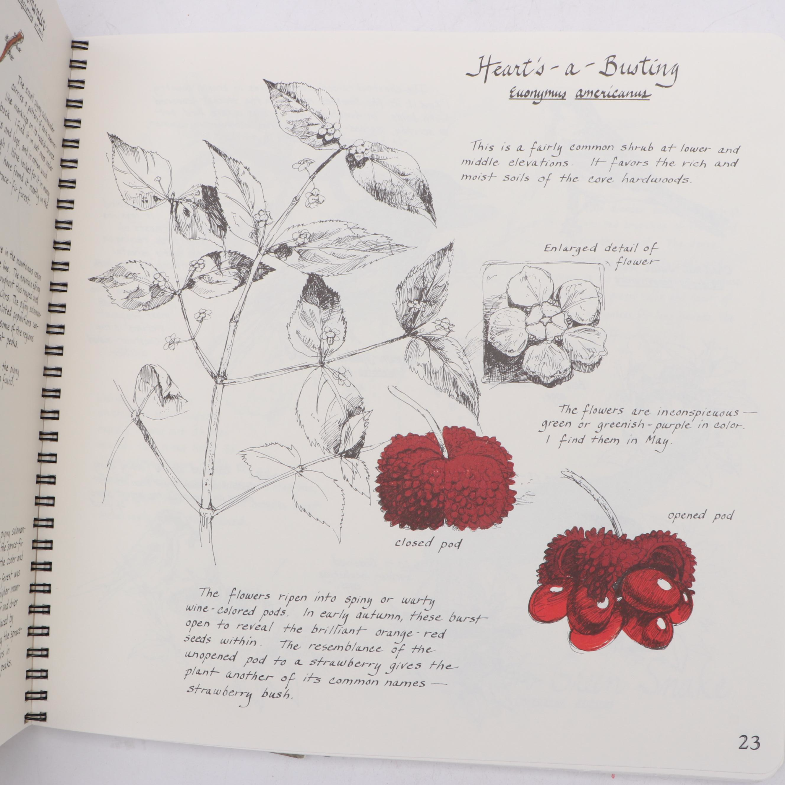 "Plant Personalities," "A Walk in the Country," and More Gardening Books