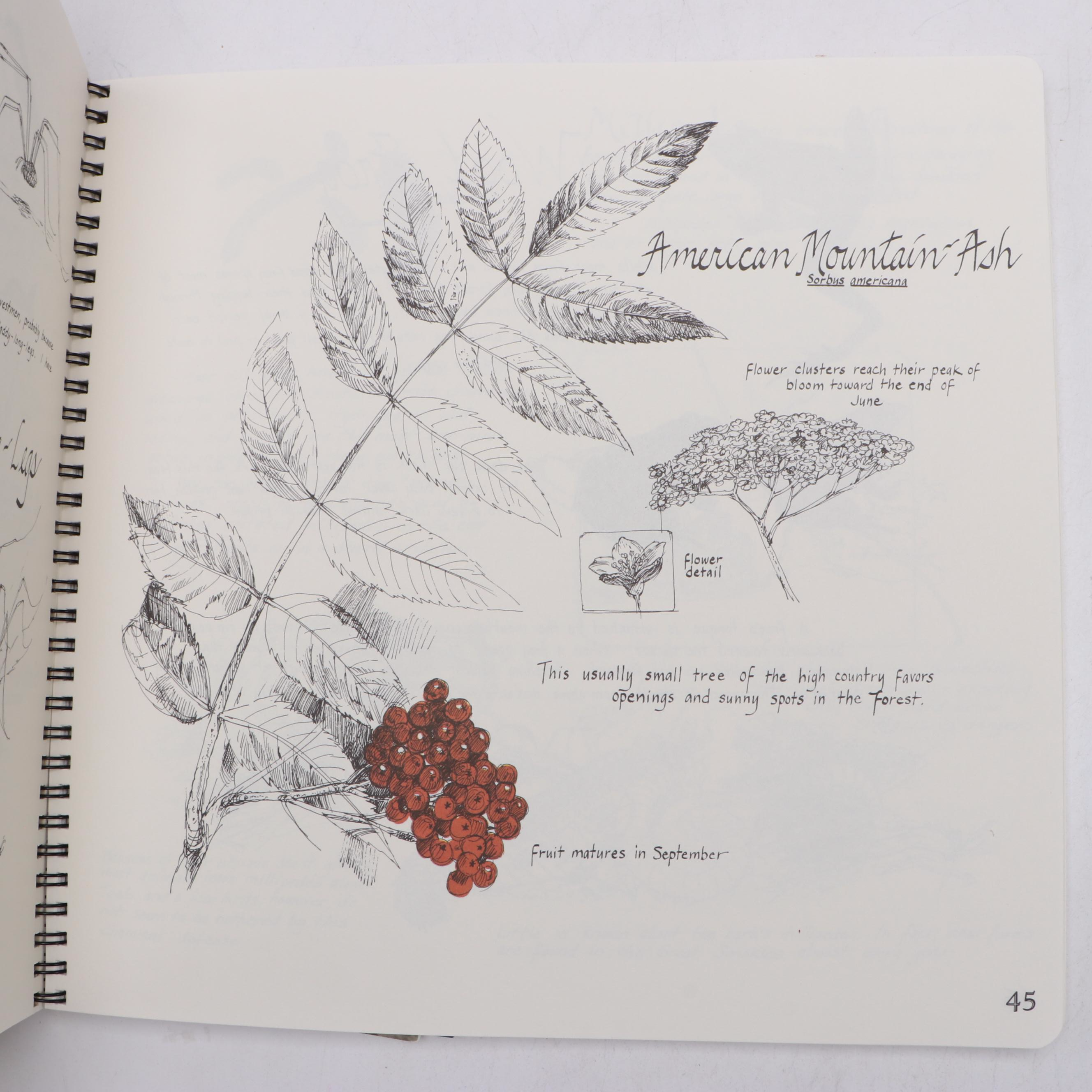 "Plant Personalities," "A Walk in the Country," and More Gardening Books