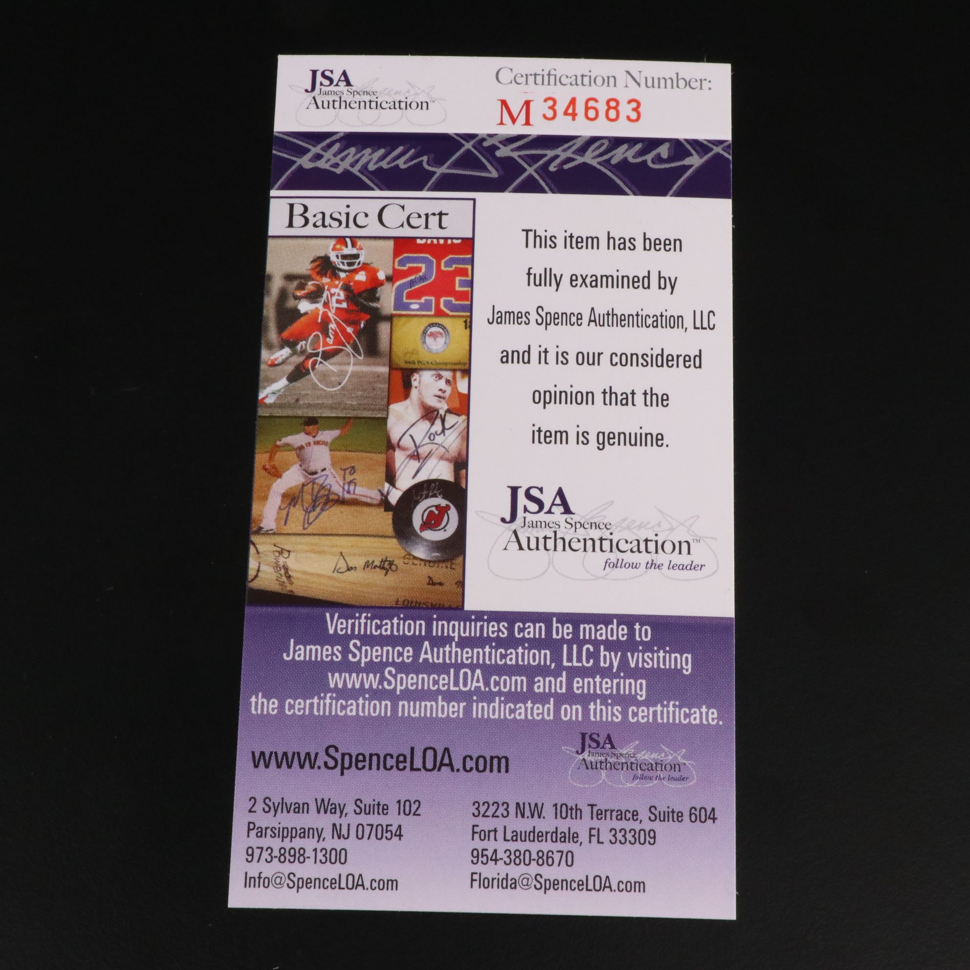 Hank Aaron Signed Jacksonville Braves Baseball Print, JSA