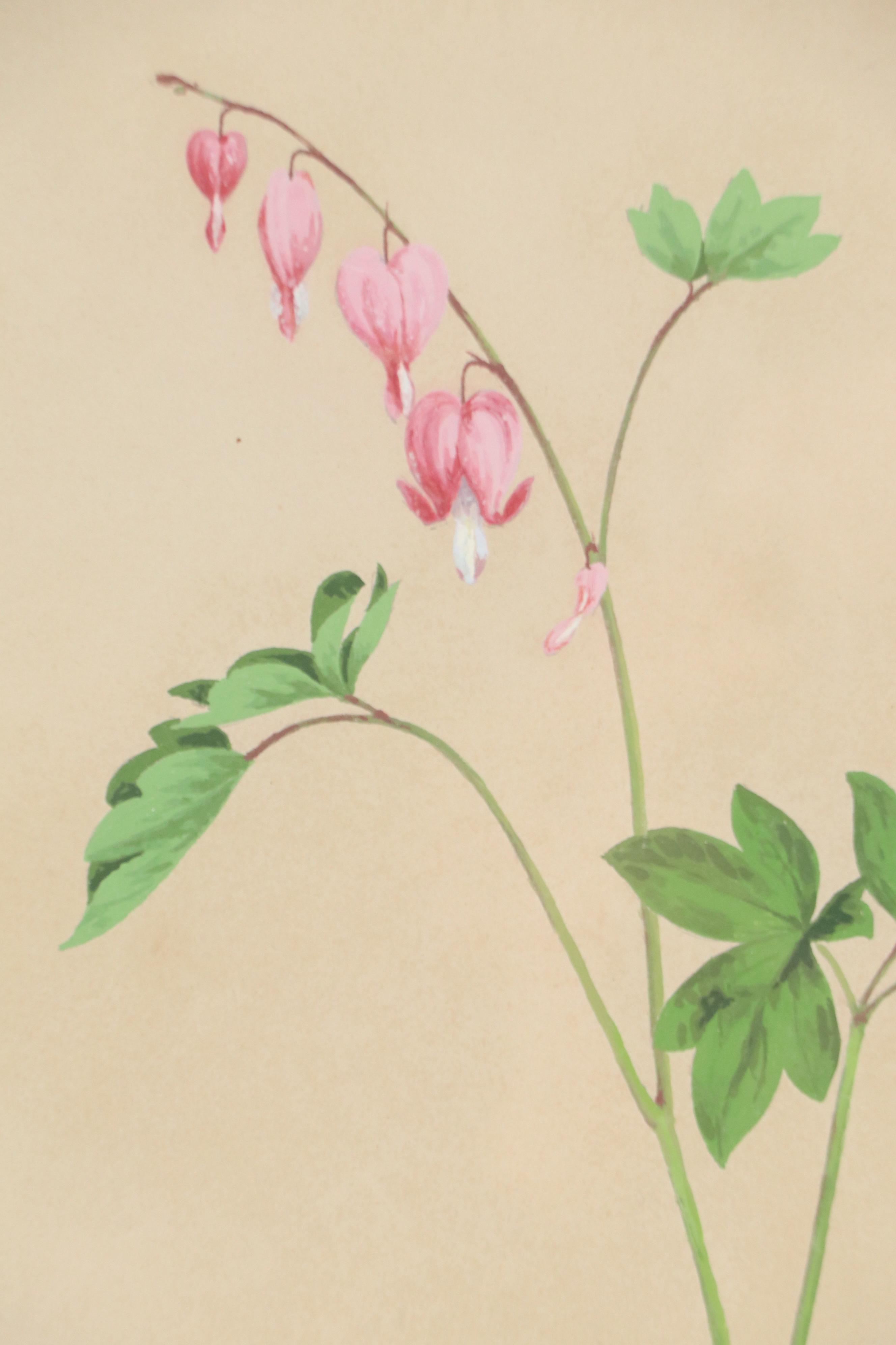 Botanical Speciment Gouache Painting of Bleeding Heart, 1852