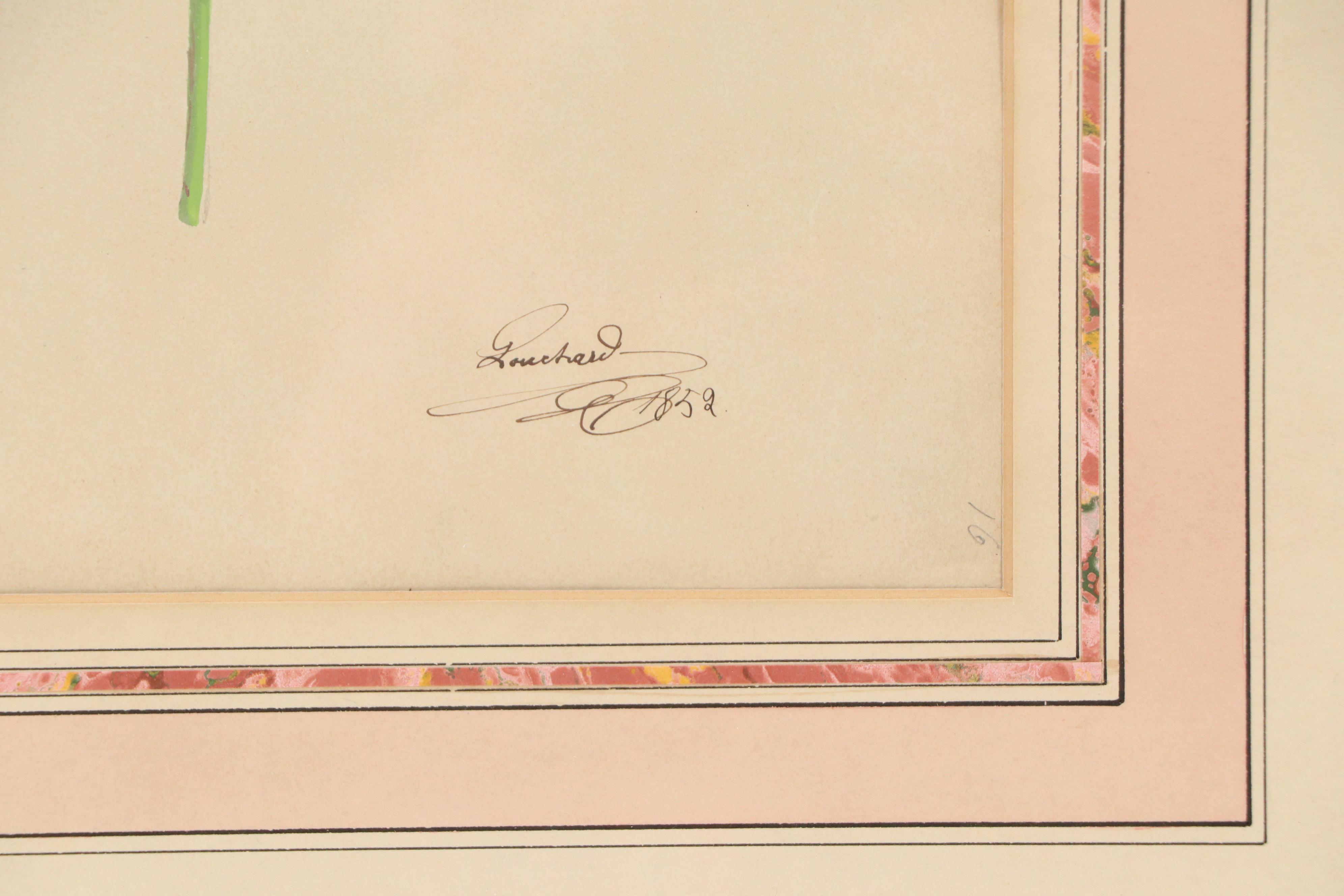 Botanical Speciment Gouache Painting of Bleeding Heart, 1852