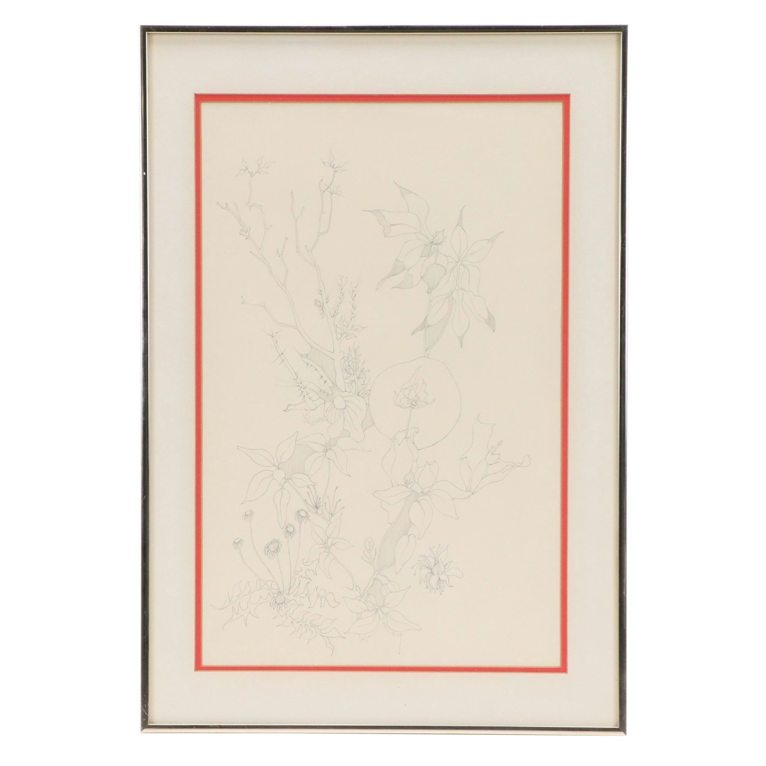 Lela Cooney Graphite Drawing of Flowers, Mid to Late 20th Century