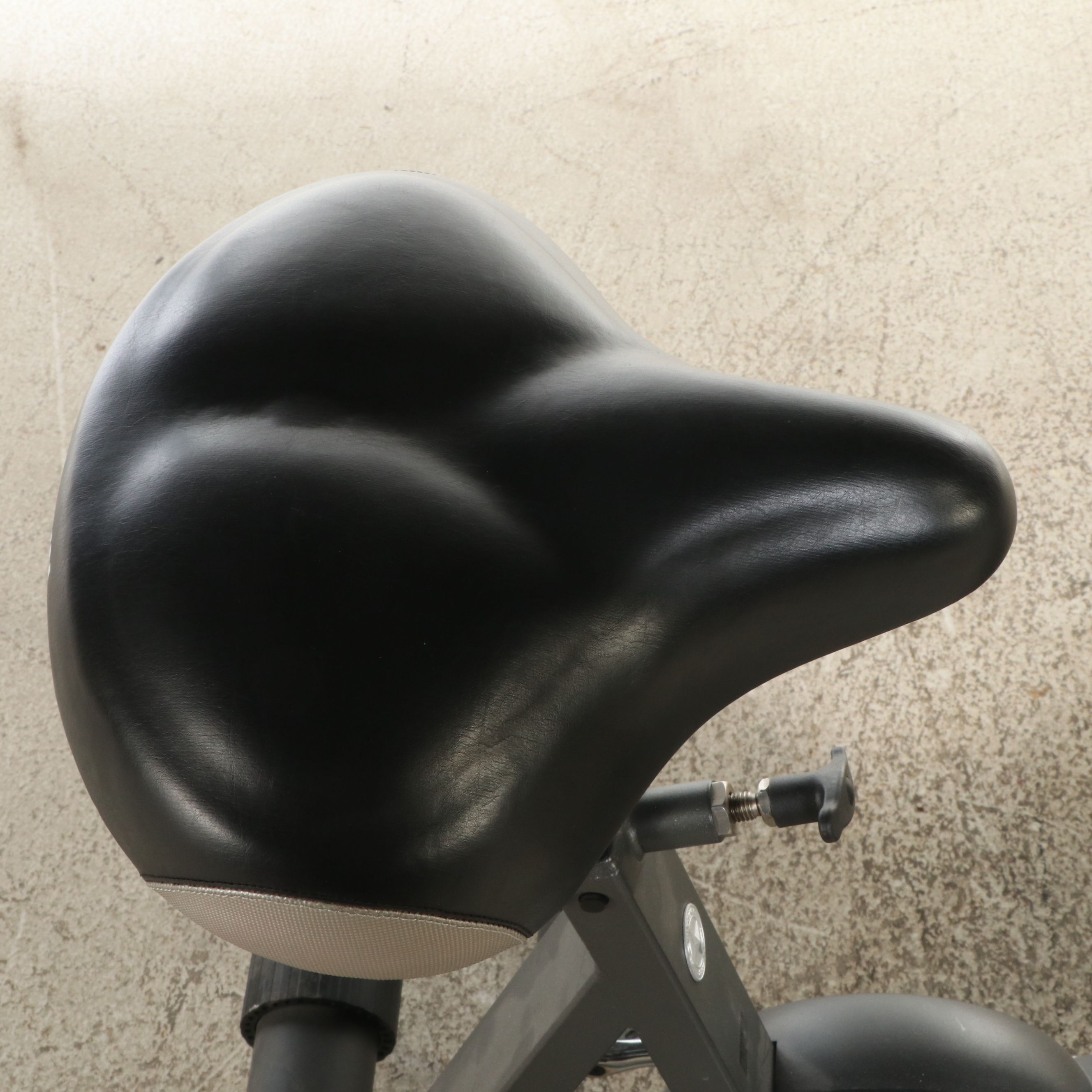 Schwinn Airdyne Evolution Comp Exercise Bike