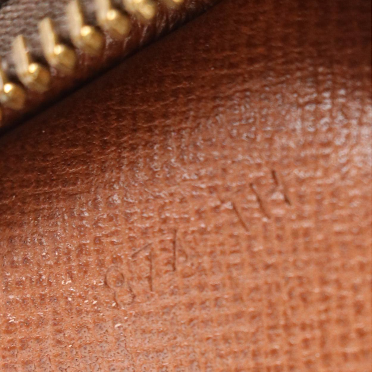 Louis Vuitton Amazone Crossbody Bag in Monogram Canvas and Vachetta Leather