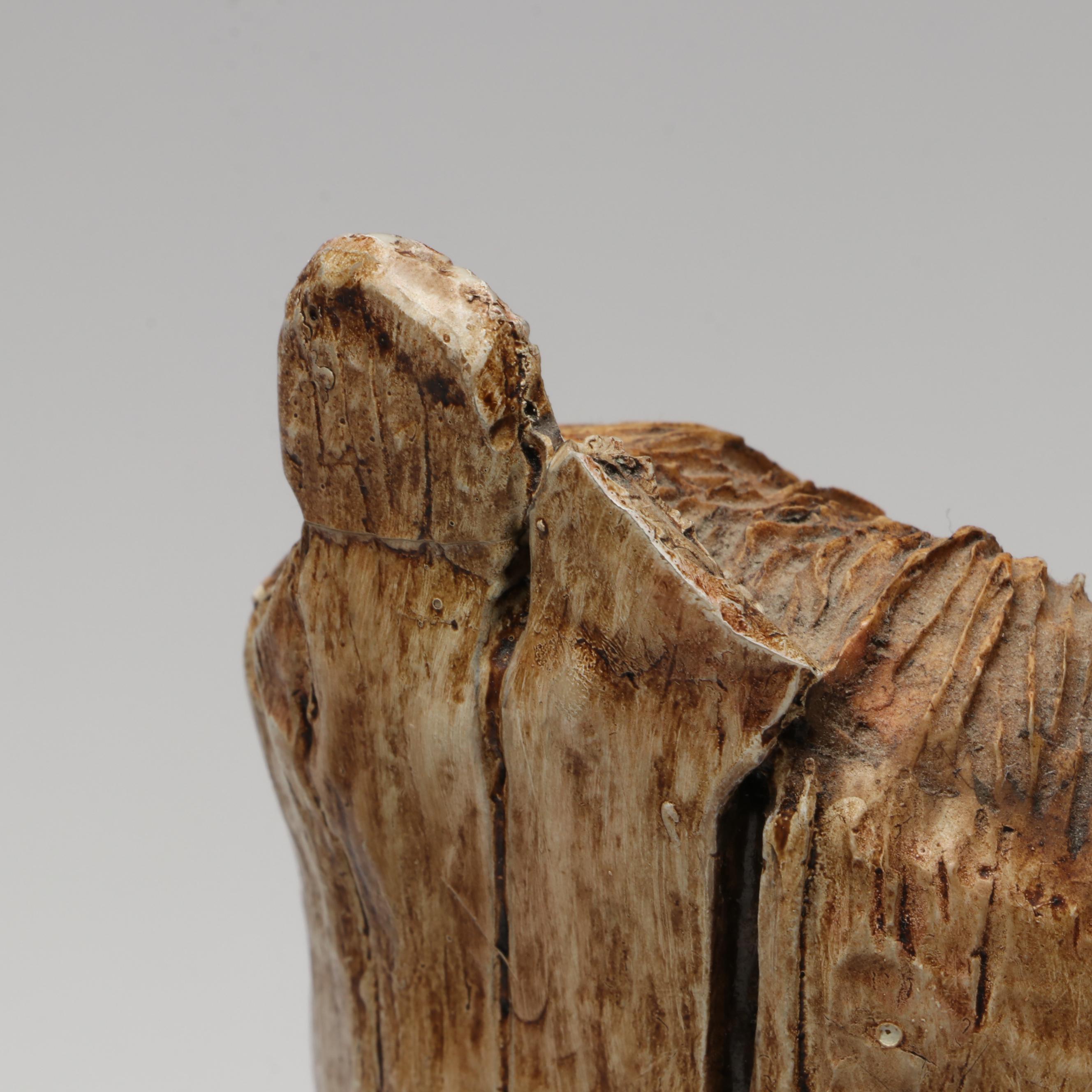 Painted Ponies "Medicine Horse" with Other Native American Inspired Décor