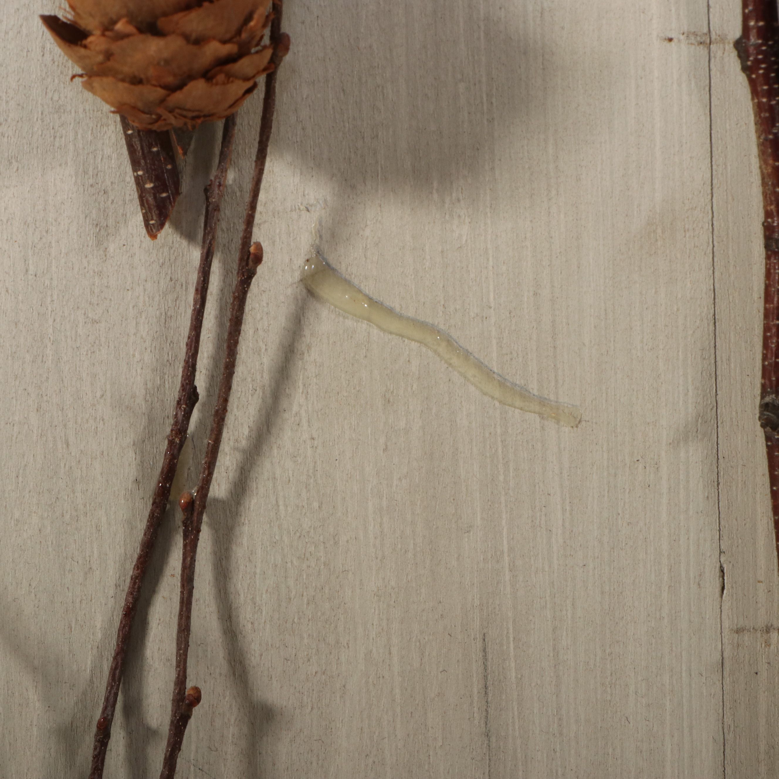 Adirondack Style Painted Grandfather Clock with Applied Twig Decoration