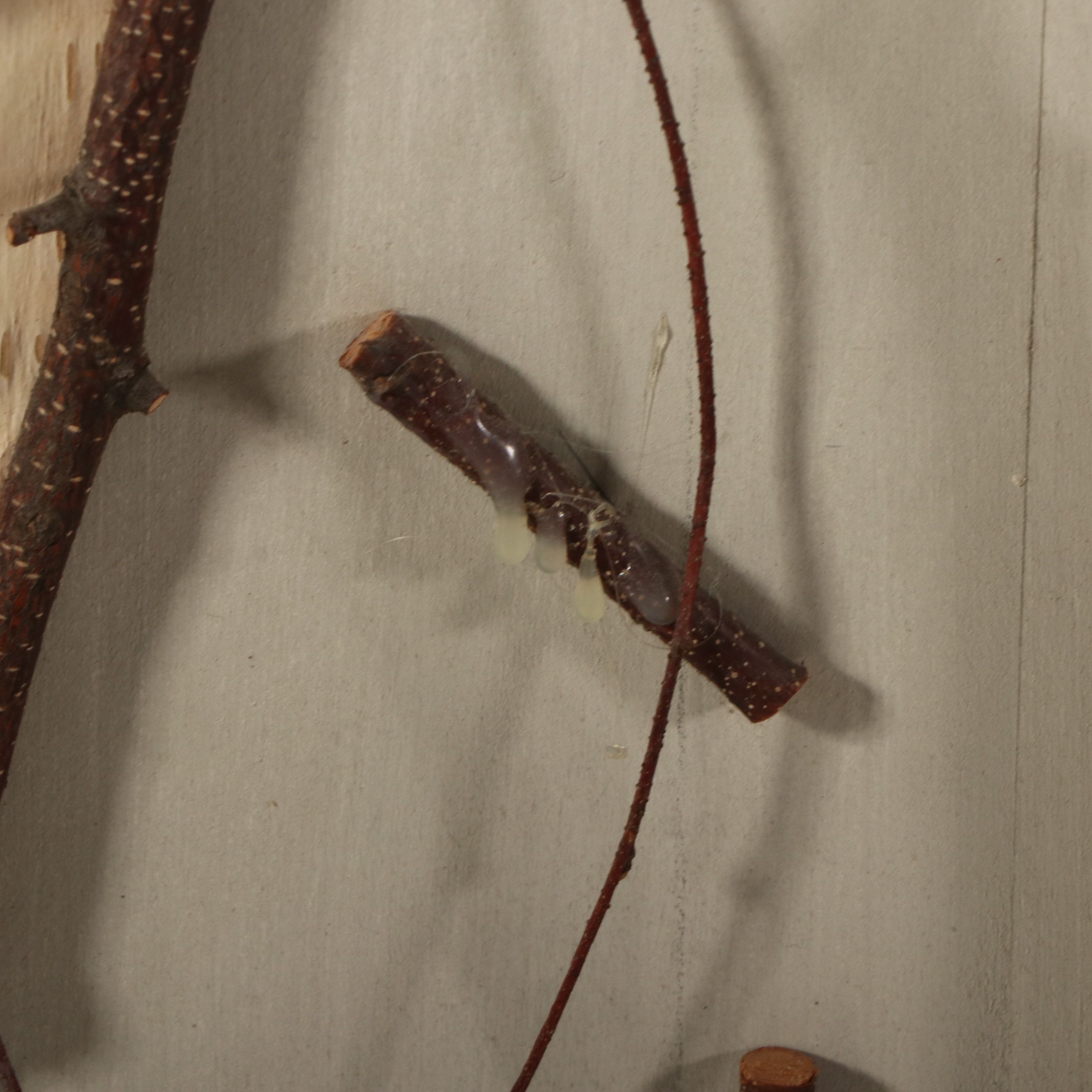 Adirondack Style Painted Grandfather Clock with Applied Twig Decoration