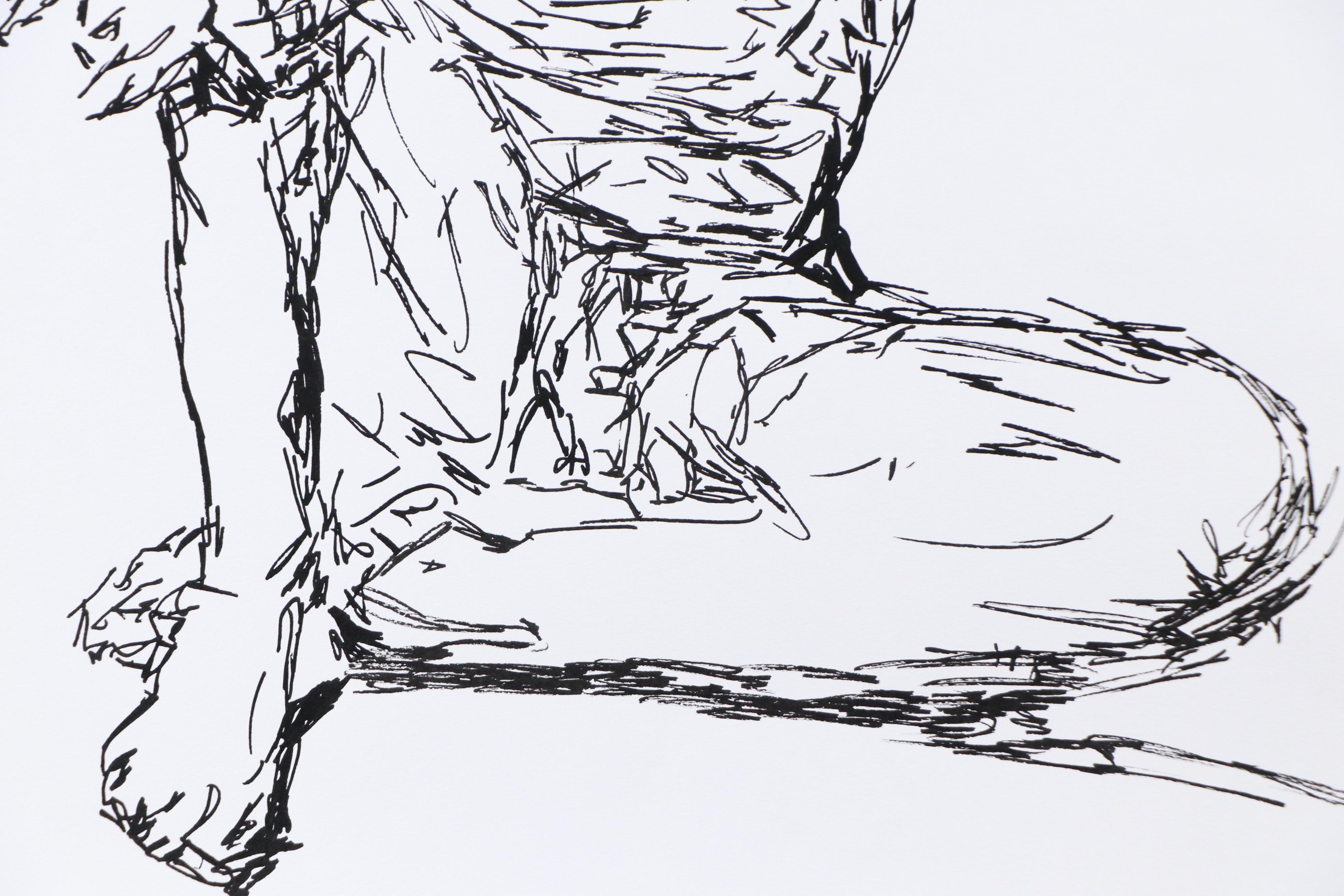 deSanto Male Nude Ink Figure Drawing "Marnix," 2025