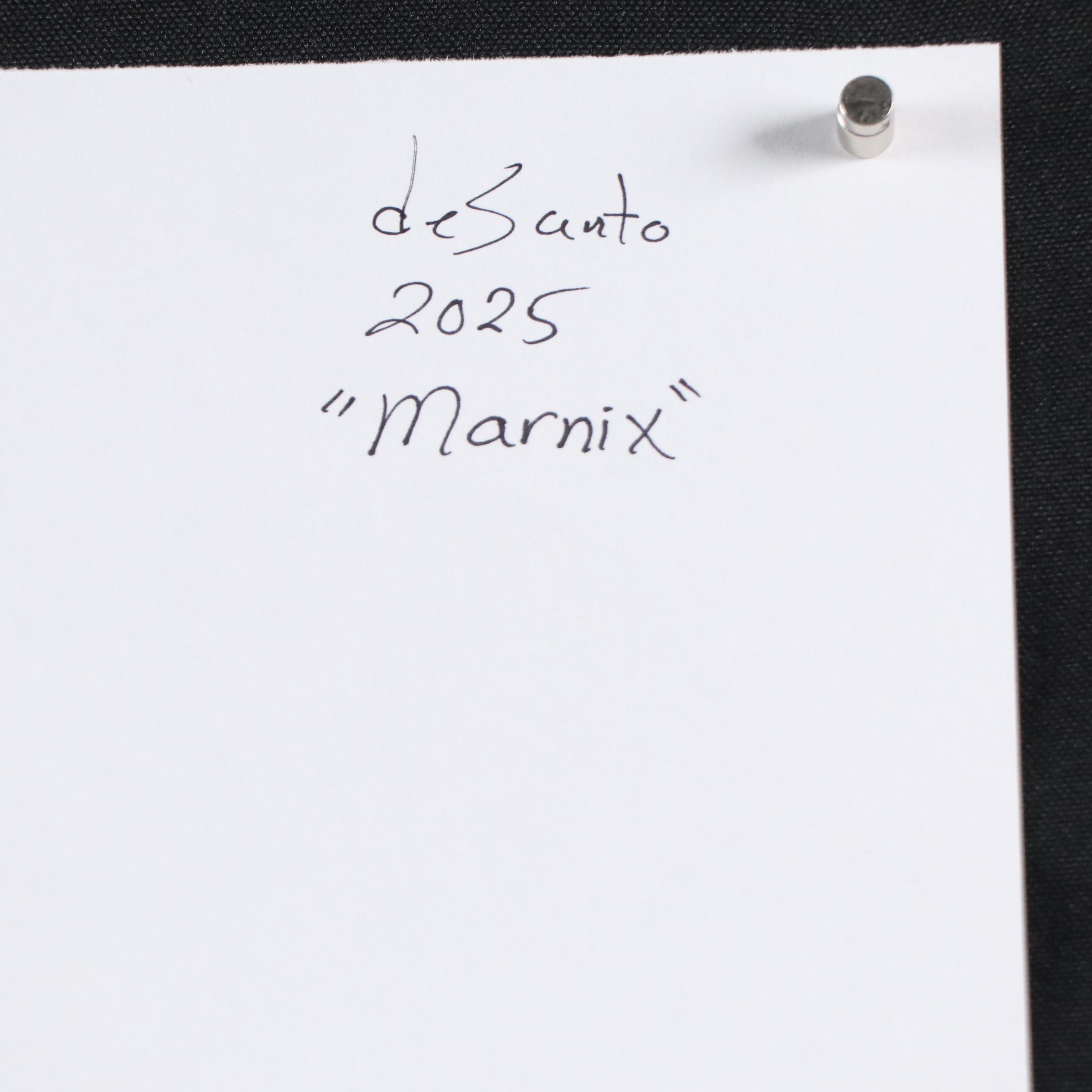 deSanto Male Nude Ink Figure Drawing "Marnix," 2025