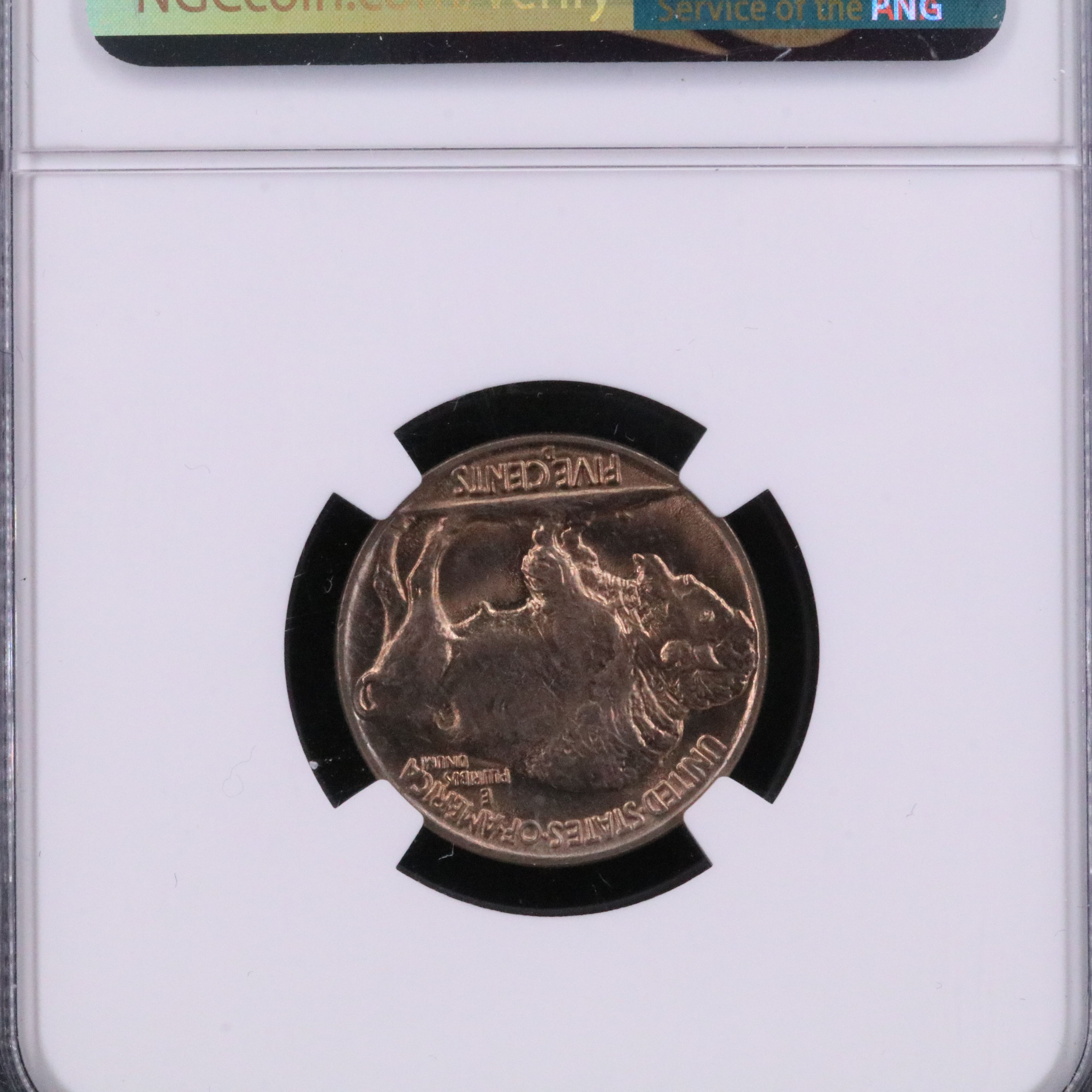 NGC MS65 1938-D Buffalo Nickel