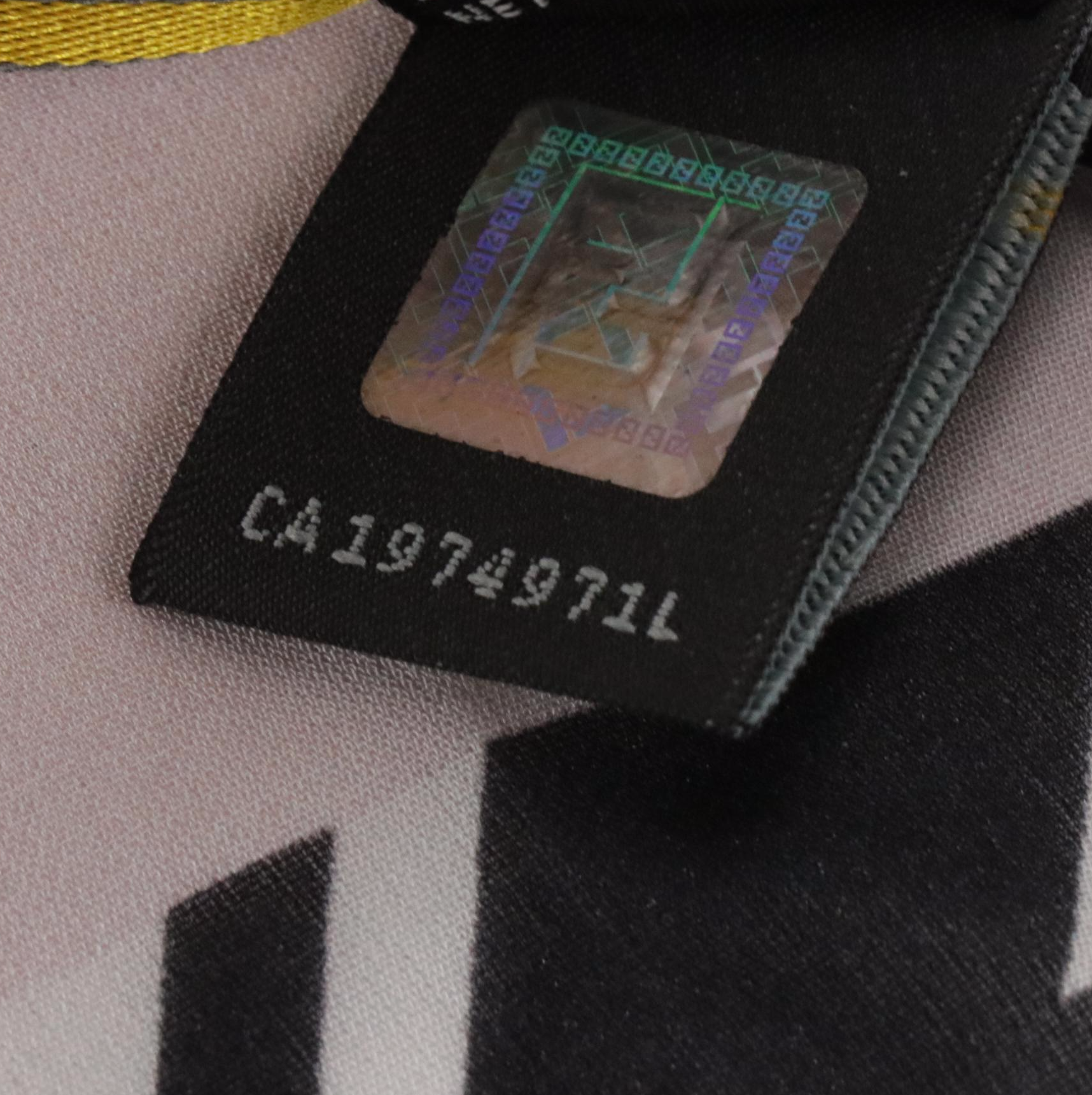 Fendi Multicolor Floral Print Sheer Silk Scarf