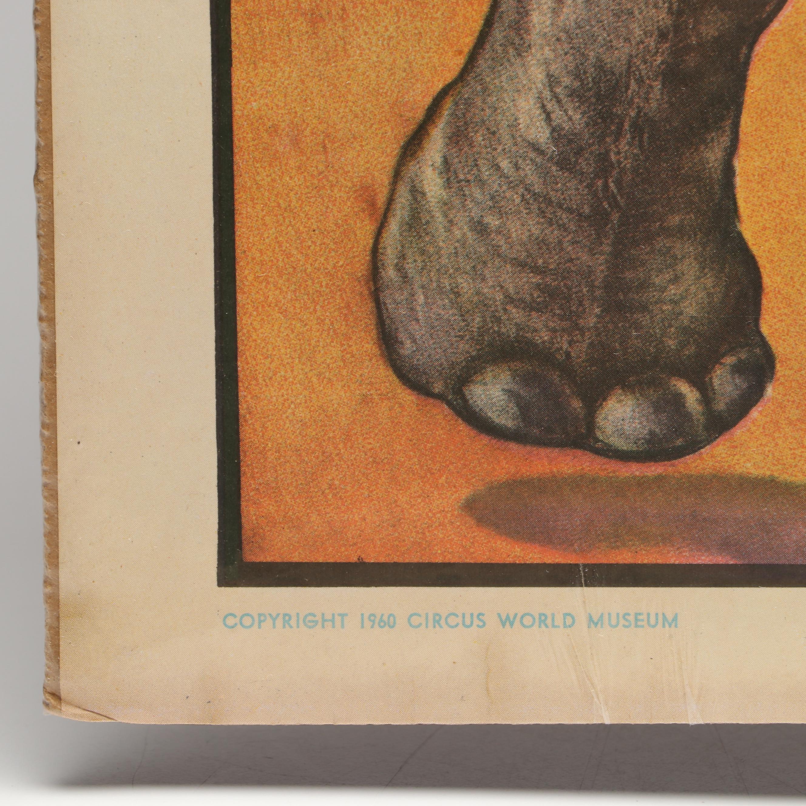 Barnum & Bailey, Ringling Brothers, and More 1960s Circus World Museum Posters