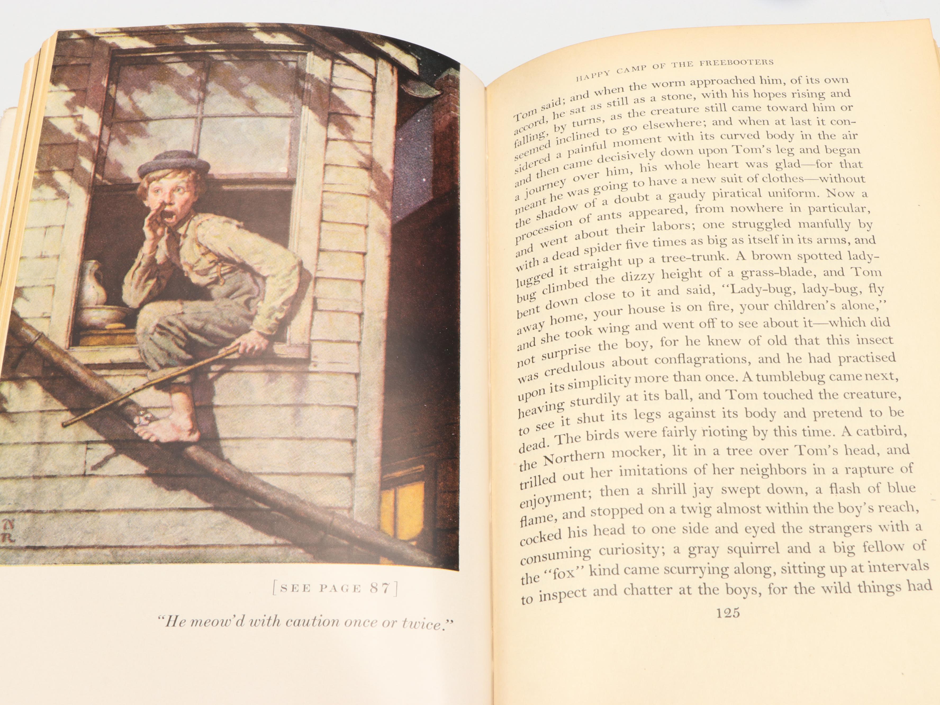 Norman Rockwell Illustrated "Adventures of Tom Sawyer" by Mark Twain and More