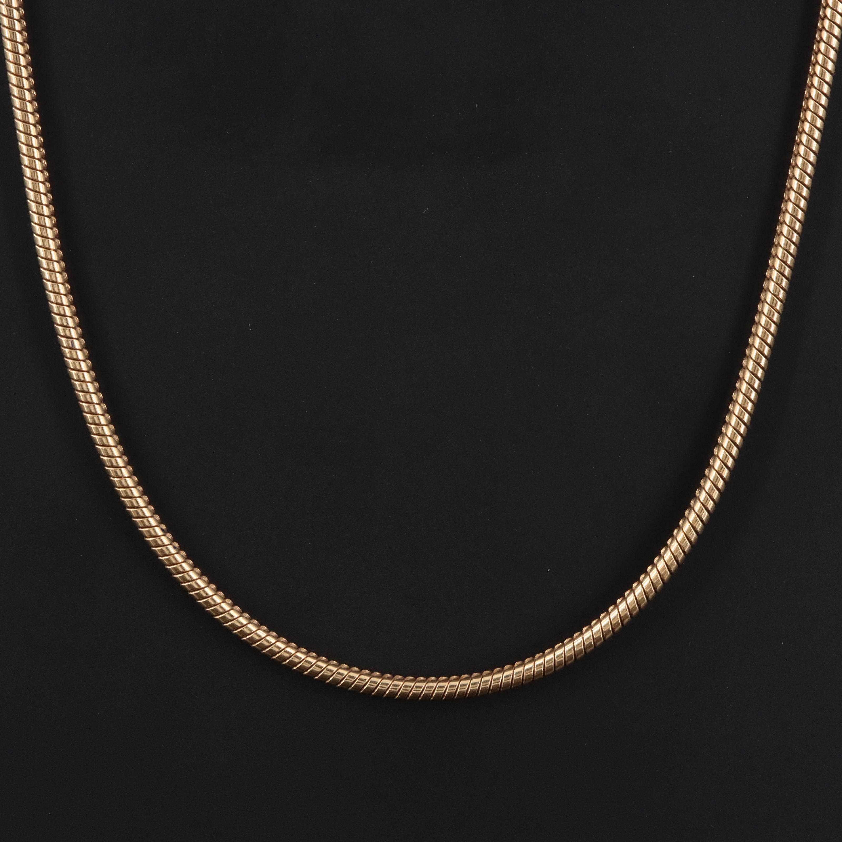 Gold-Filled Snake Chain Necklace