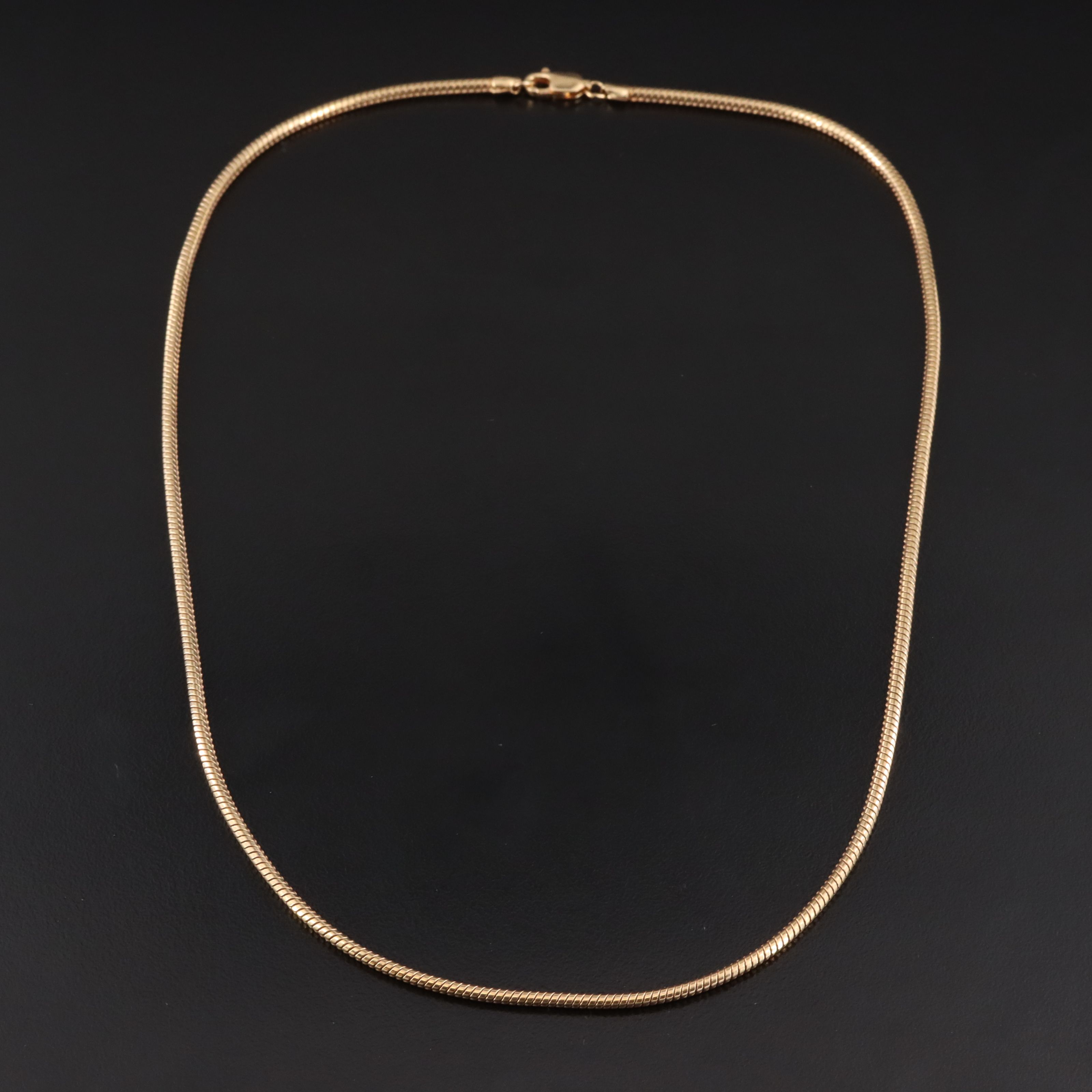 Gold-Filled Snake Chain Necklace