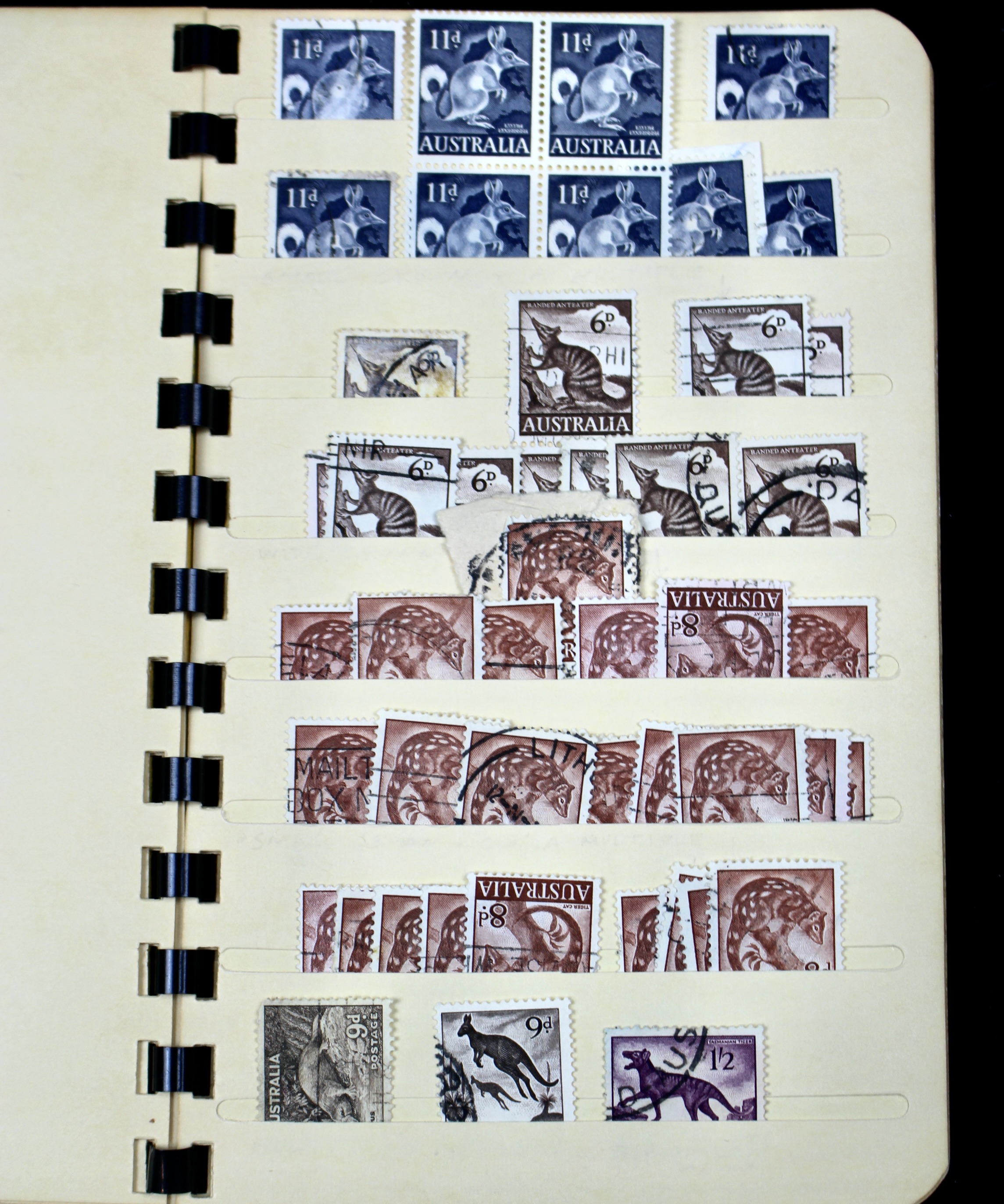 Australia and Colonies Postage Stamp Collection
