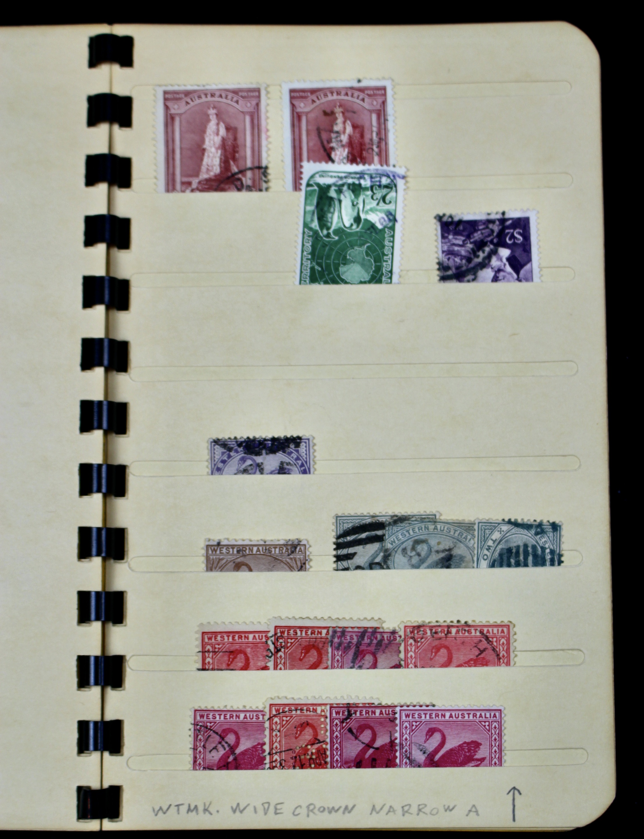 Australia and Colonies Postage Stamp Collection