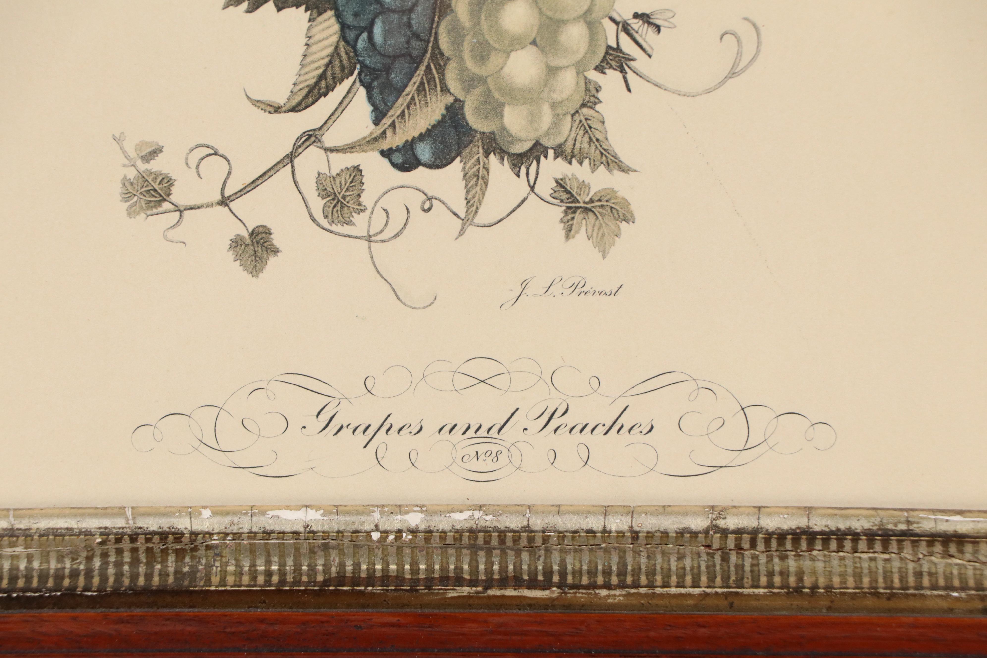 J. L. Prévost Hand-Colored Lithograph "Grapes and Peaches," Early 20th Century