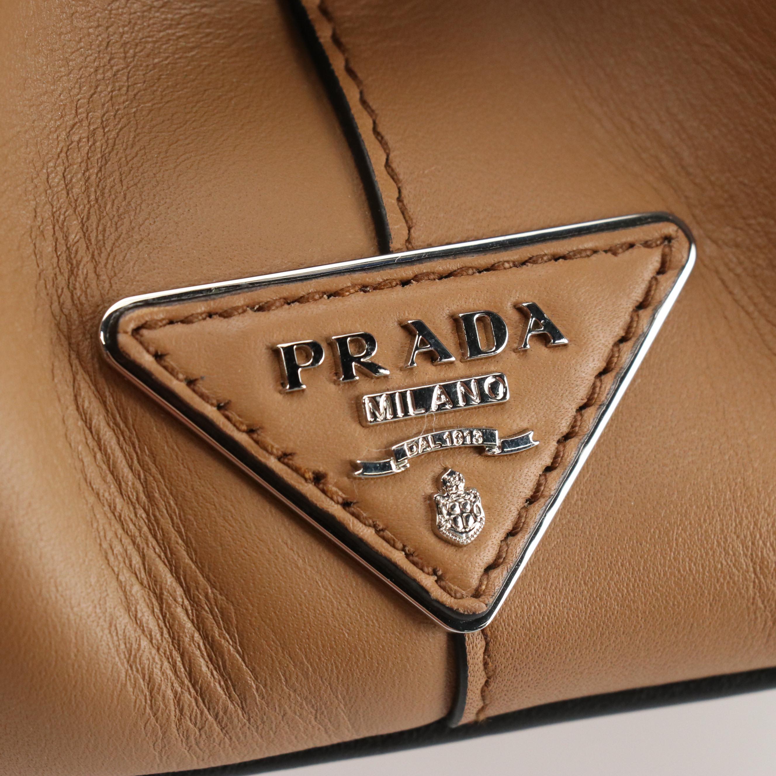 Prada Baiadera Frame Handbag in Tricolor Striped Calfskin Leather