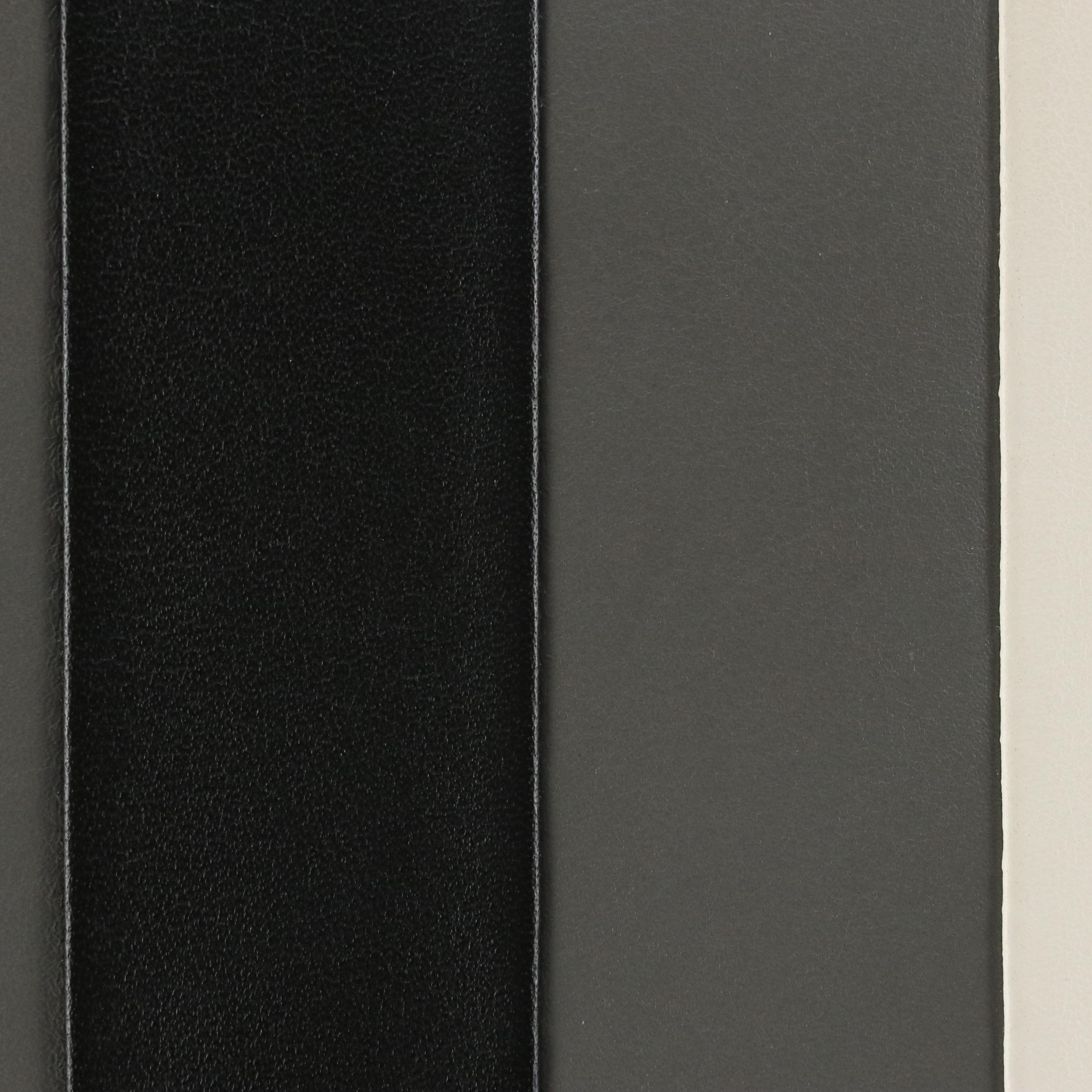 Prada Baiadera Frame Handbag in Tricolor Striped Calfskin Leather