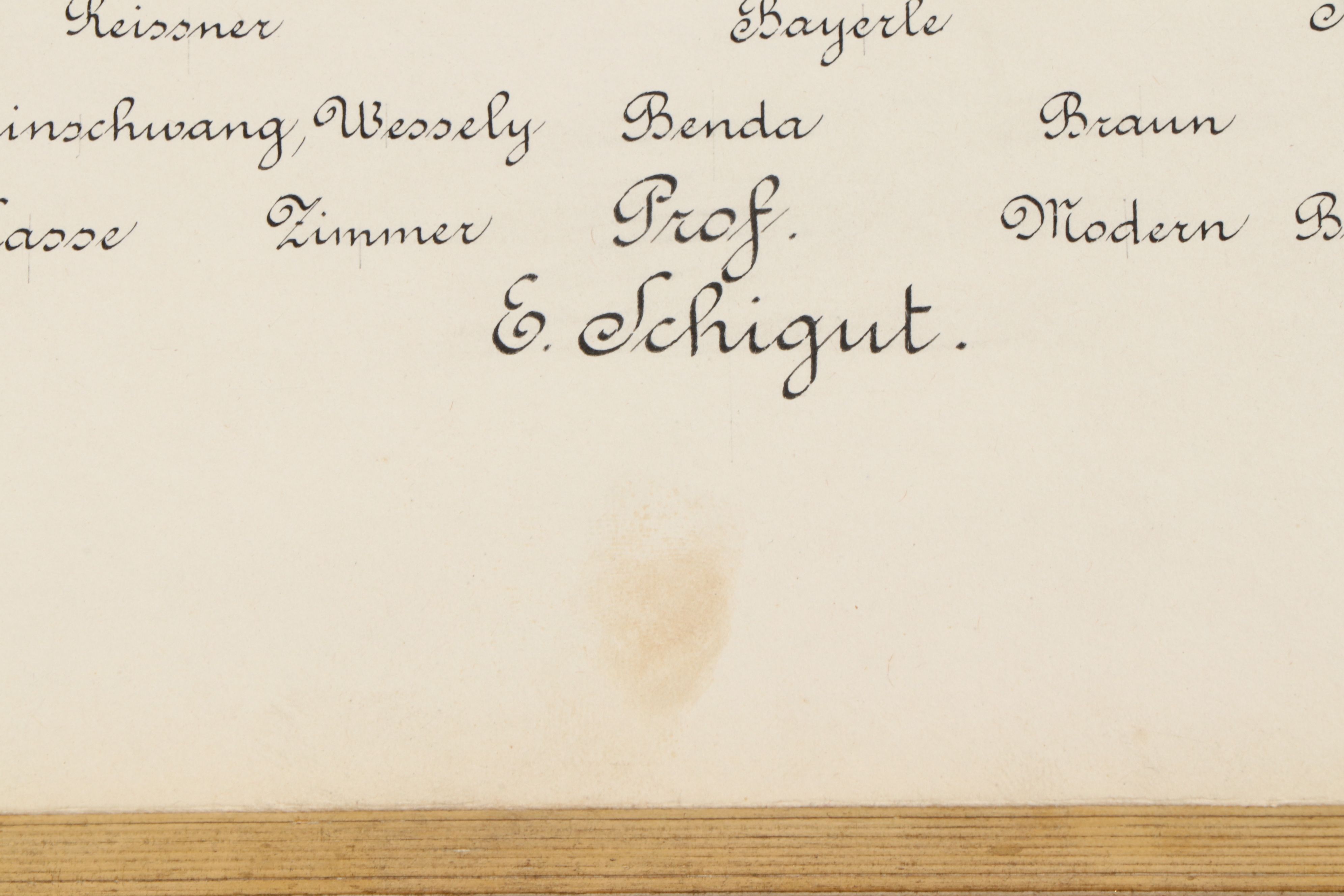 Fiftieth Anniversary Austrian Allina Vocational School Presentation Album, 1898