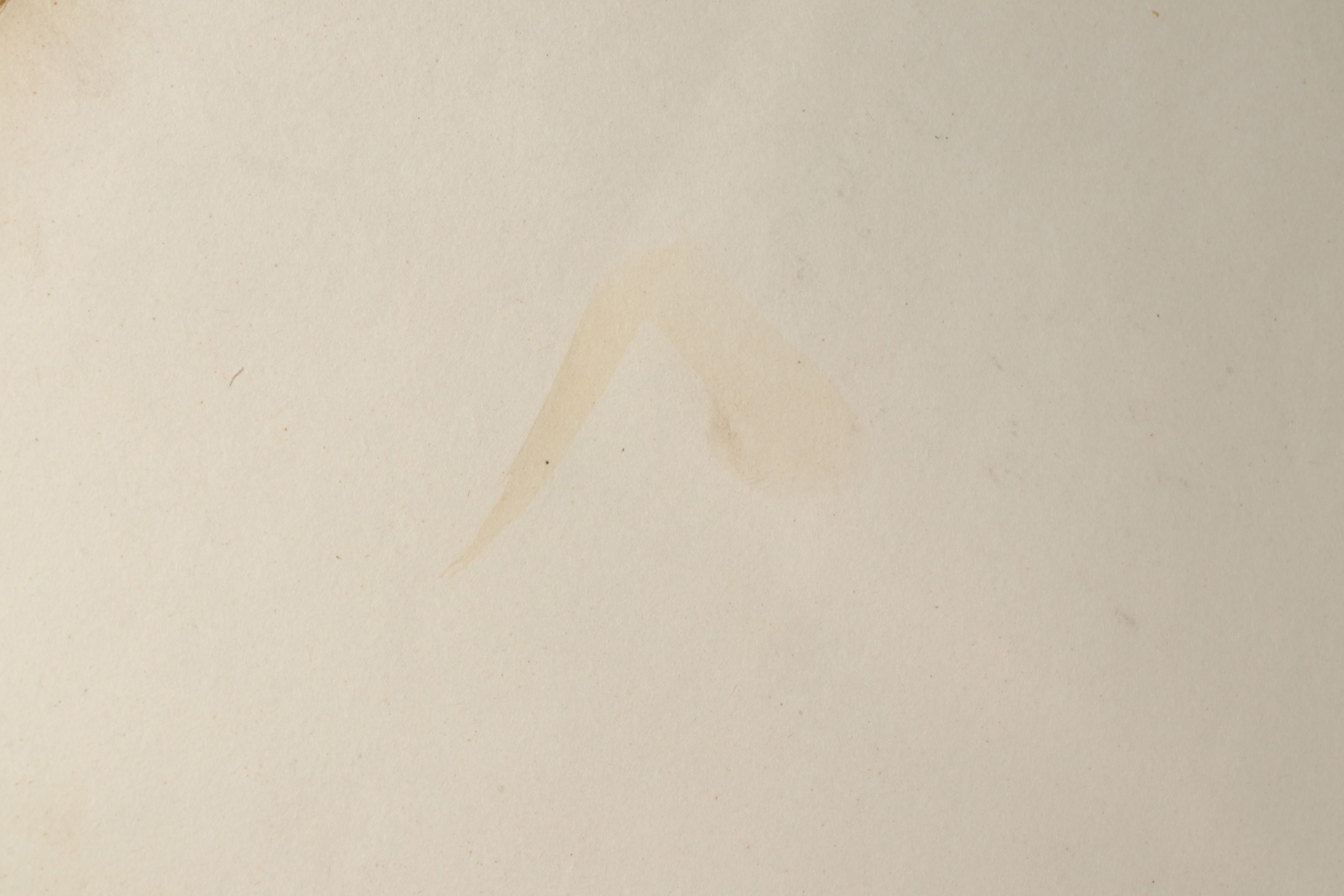 Fiftieth Anniversary Austrian Allina Vocational School Presentation Album, 1898