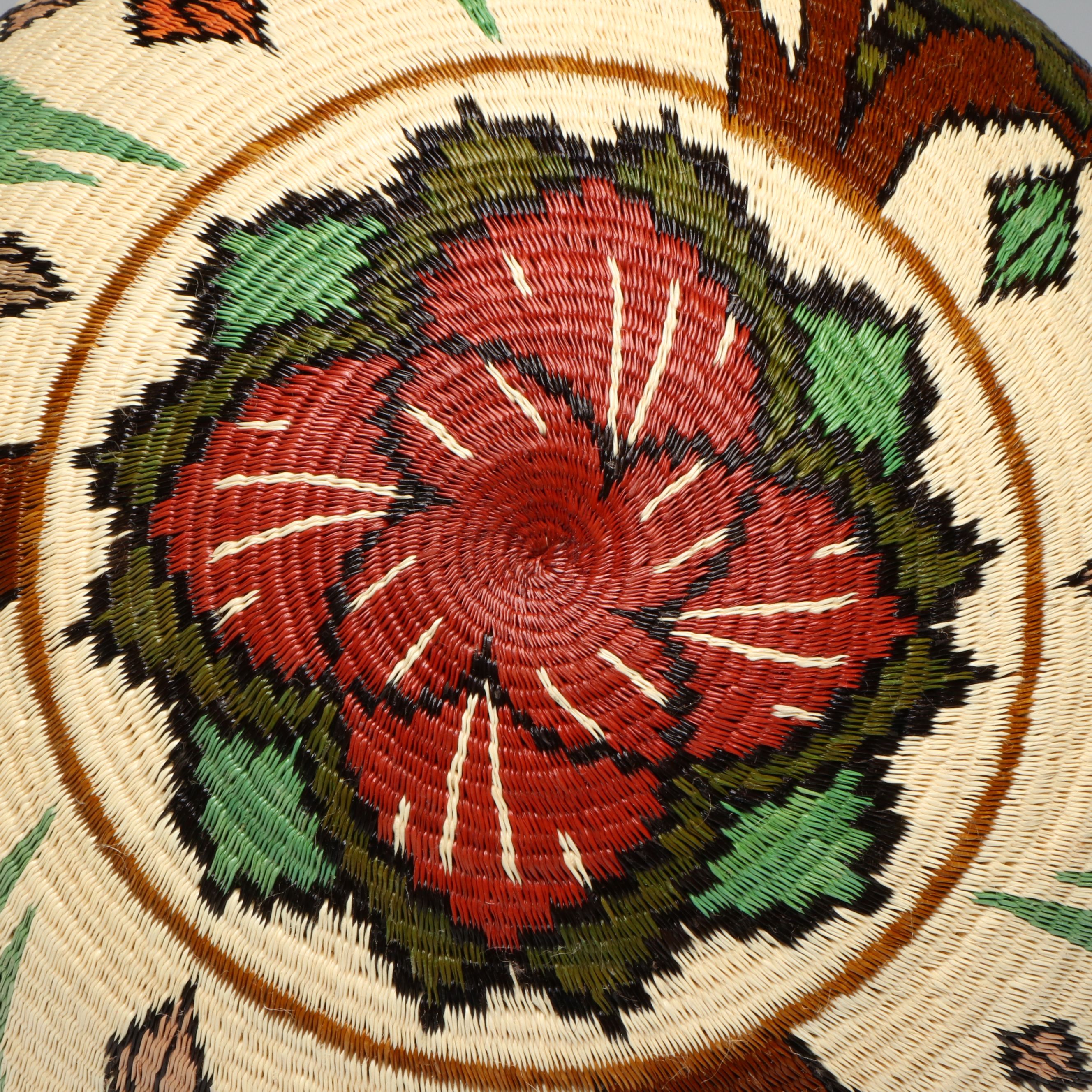 Panamanian Emberá-Wounaan Plant Fiber Basket with Reptiles and Tropical Birds