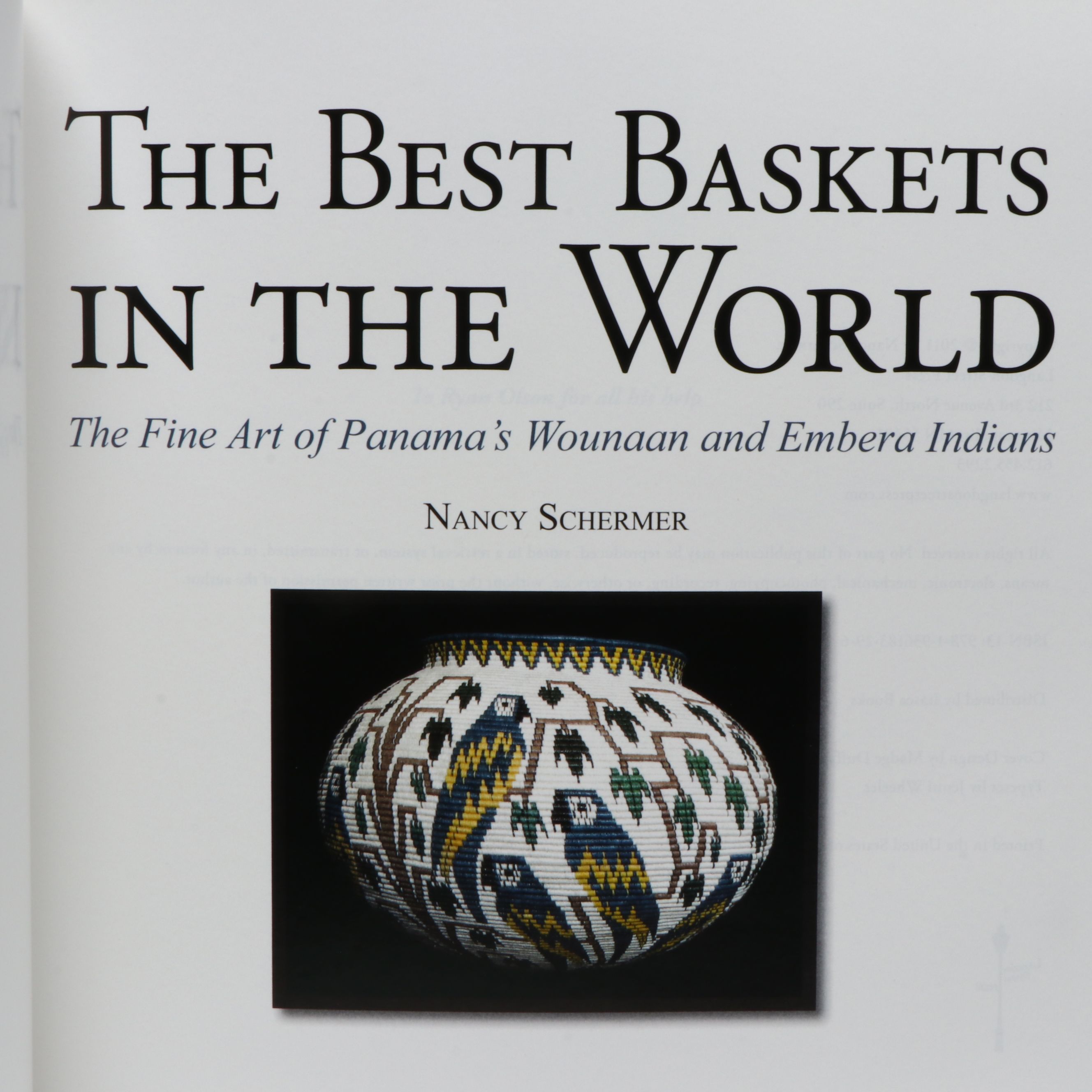 Panamanian Emberá-Wounaan Plant Fiber Basket with Reptiles and Tropical Birds